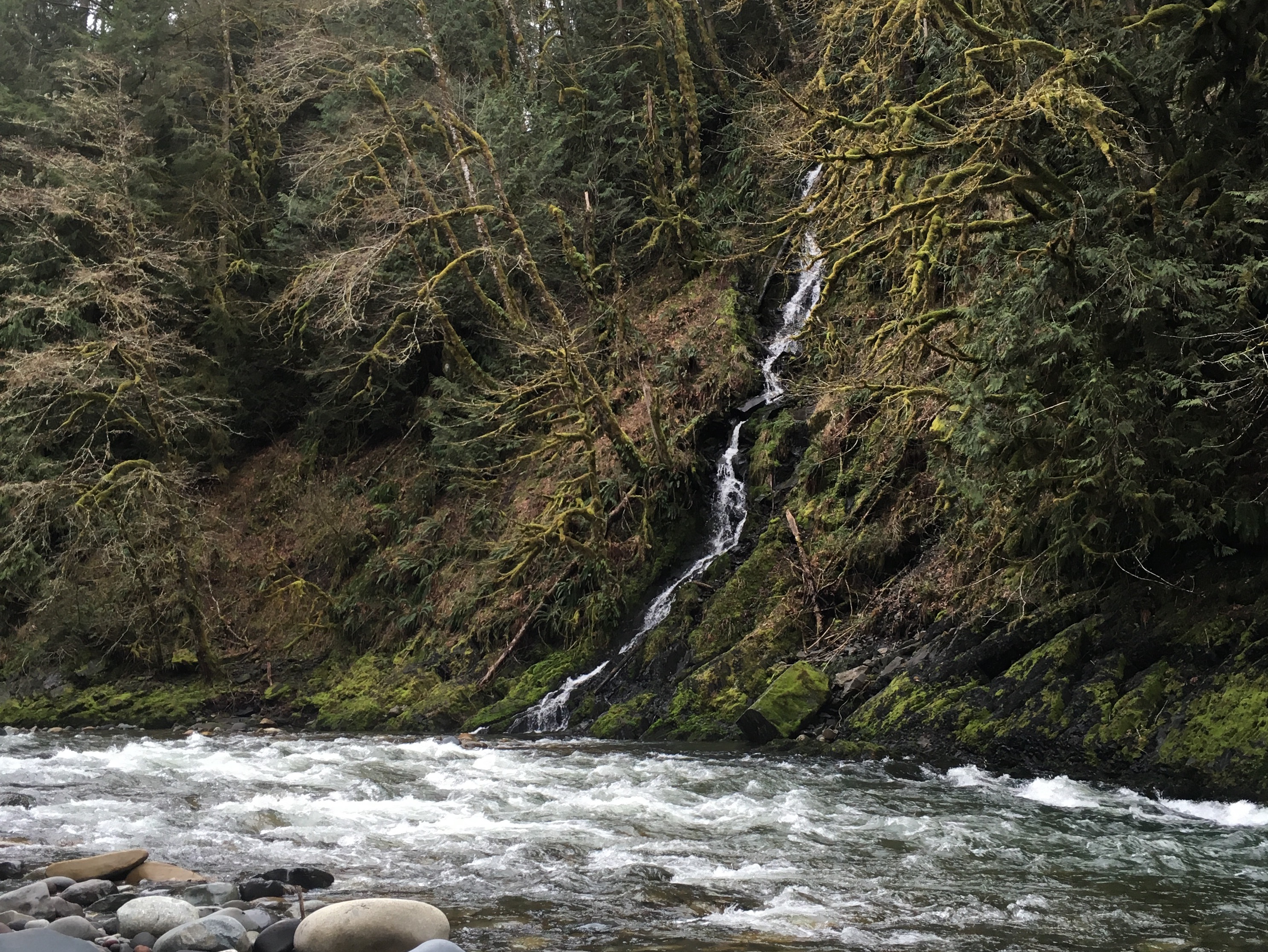 Hike the Upper Foothills Trail along the Carbon River, Carbonado
