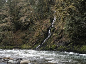 Hike the Upper Foothills Trail along the Carbon River