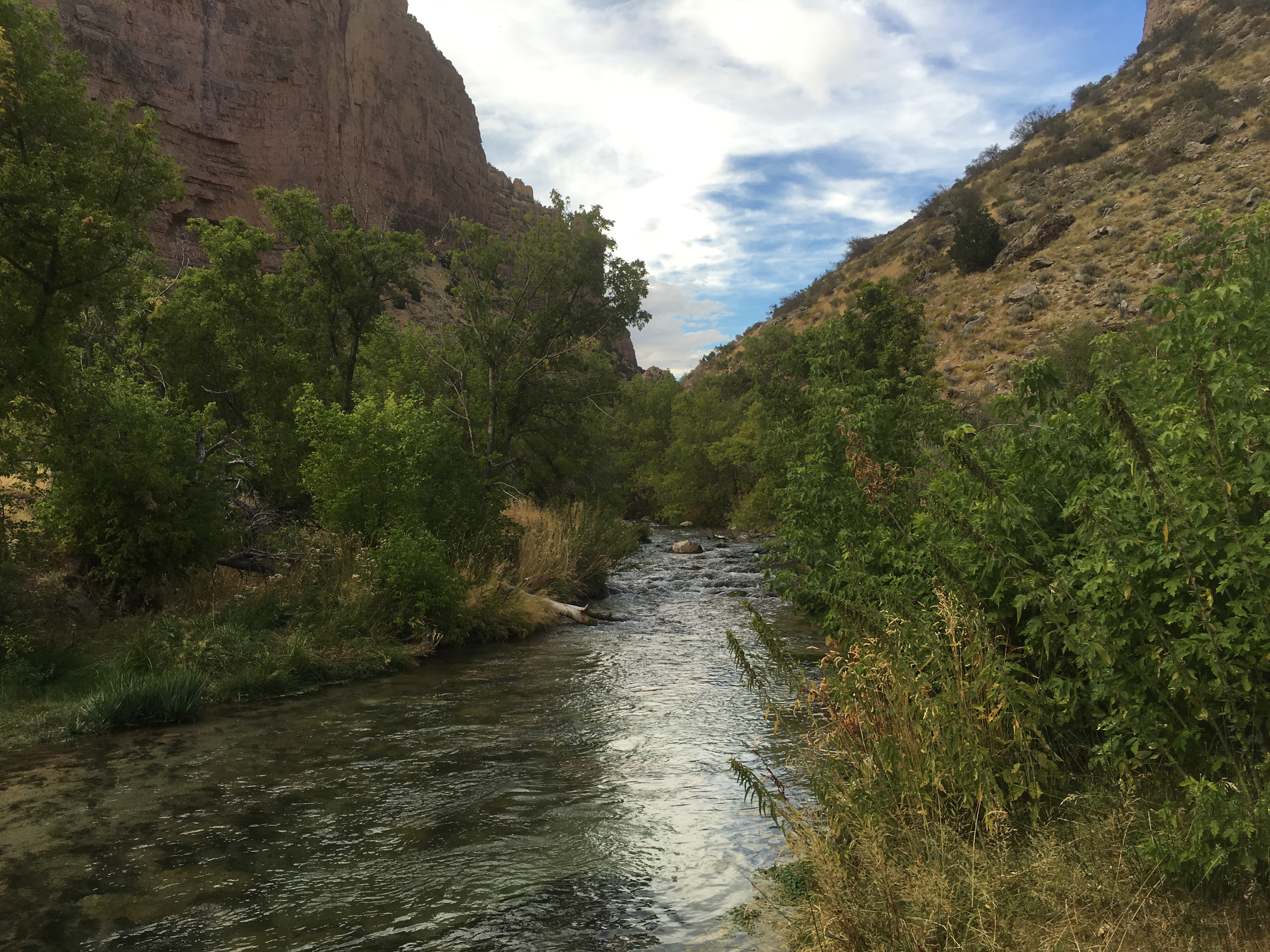 Hike and Fly-Fish Jone's Hole Creek