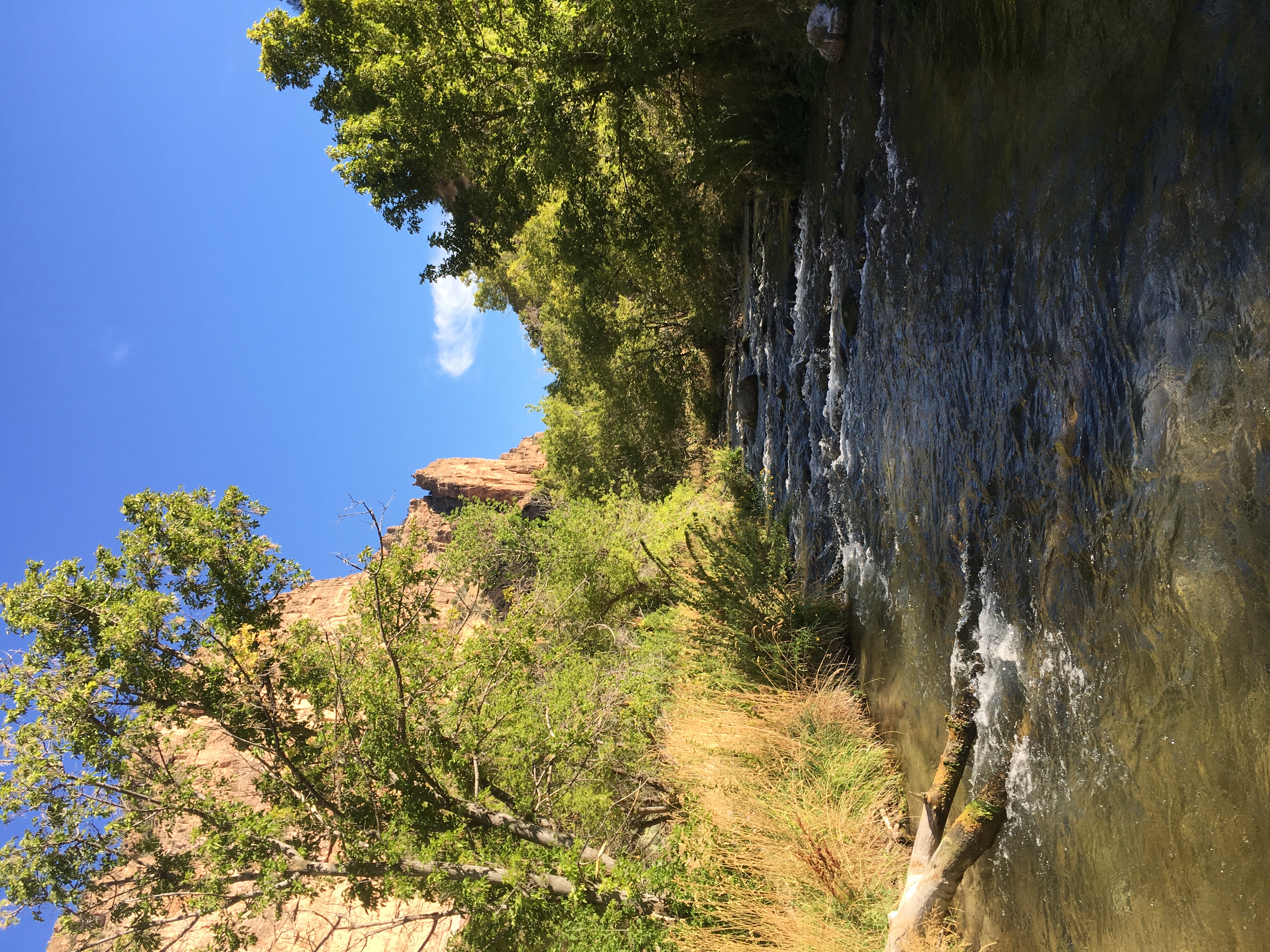 Hike and Fly-Fish Jone's Hole Creek