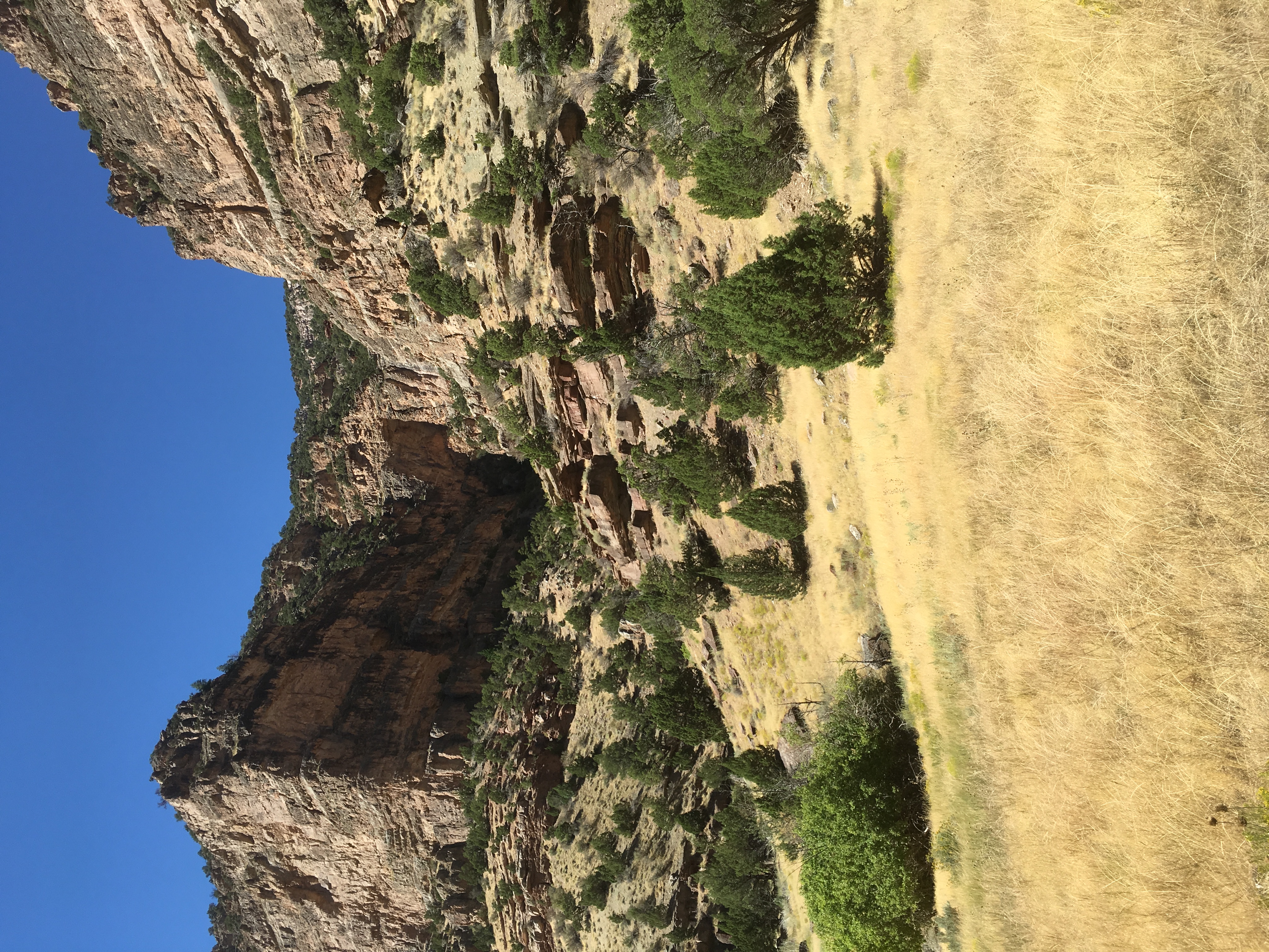 Hike and Fly-Fish Jone's Hole Creek