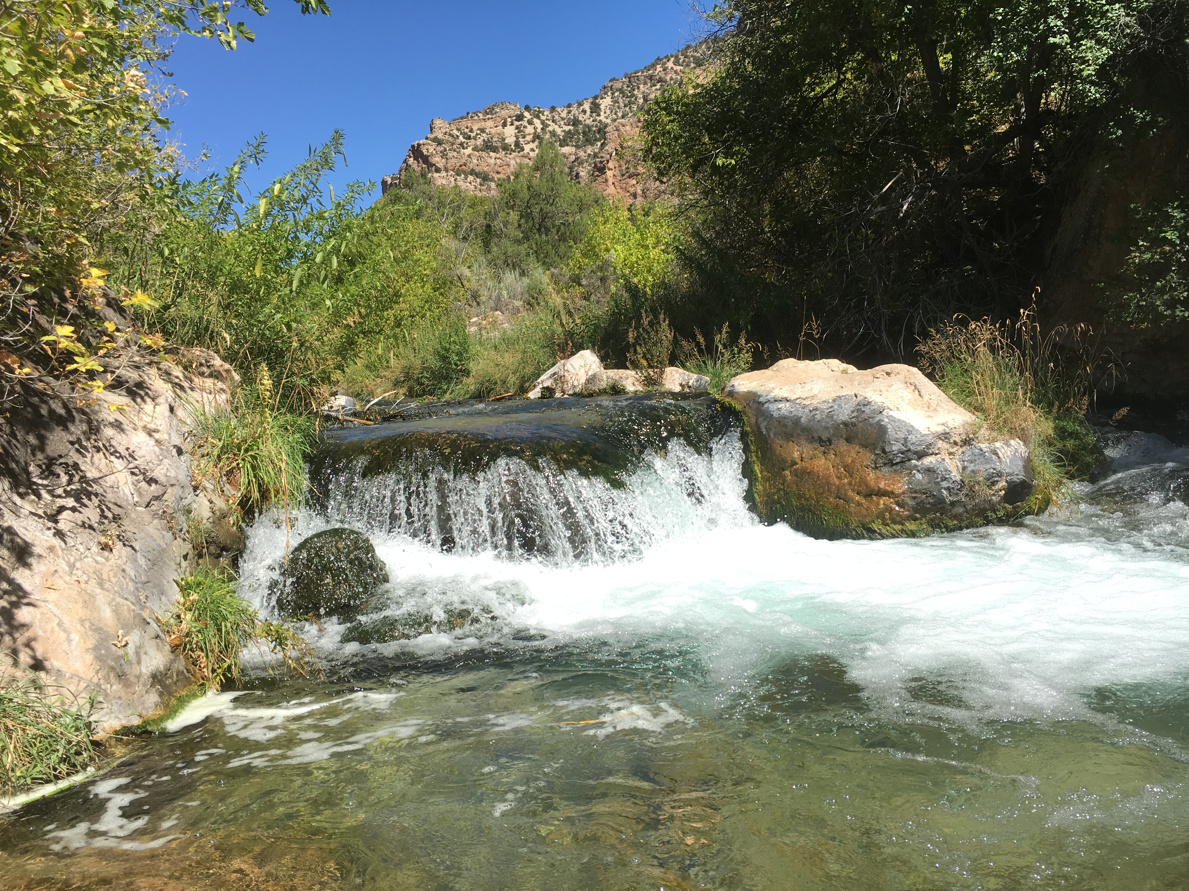 Hike and Fly-Fish Jone's Hole Creek