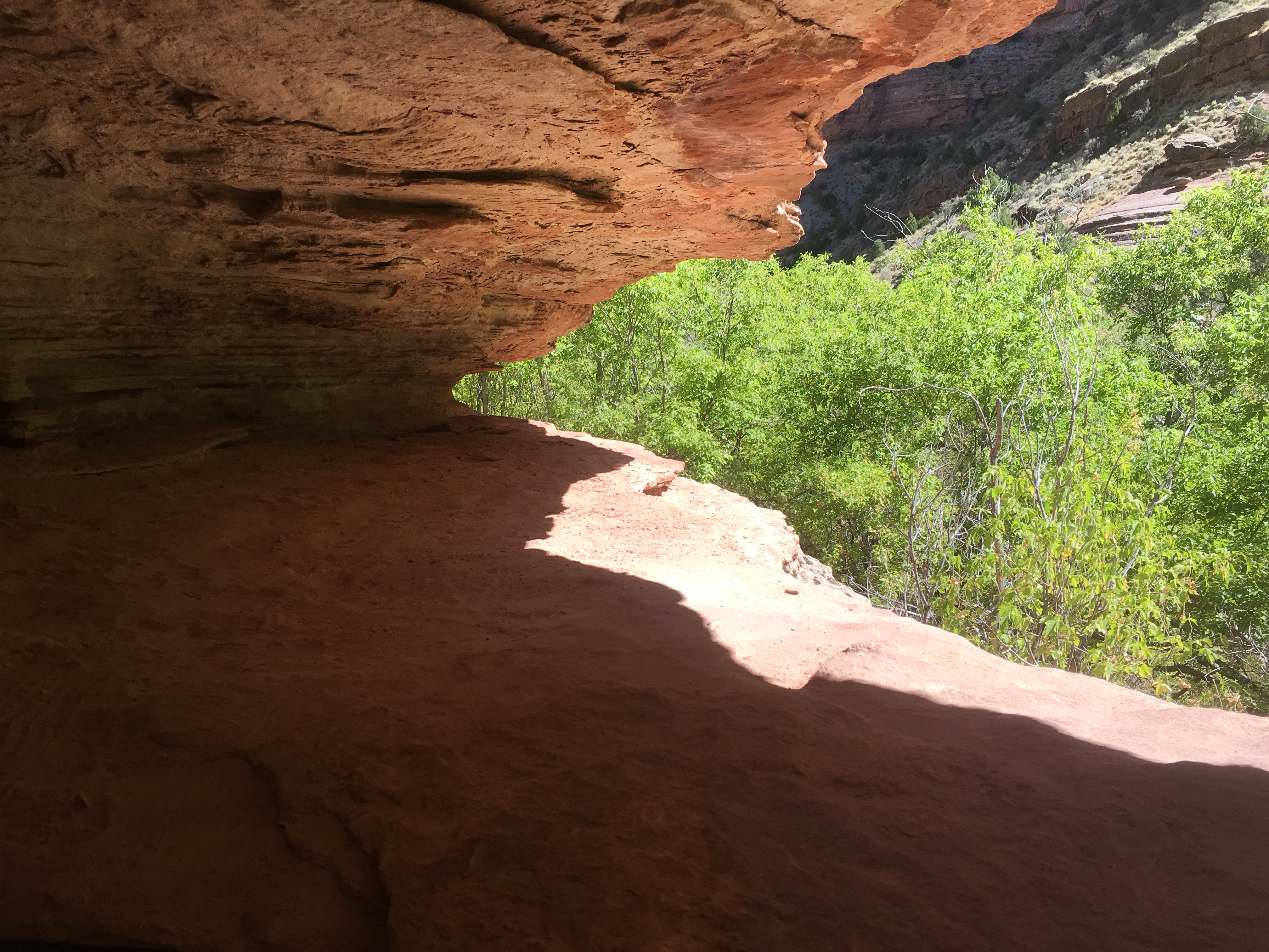 Hike and Fly-Fish Jone's Hole Creek