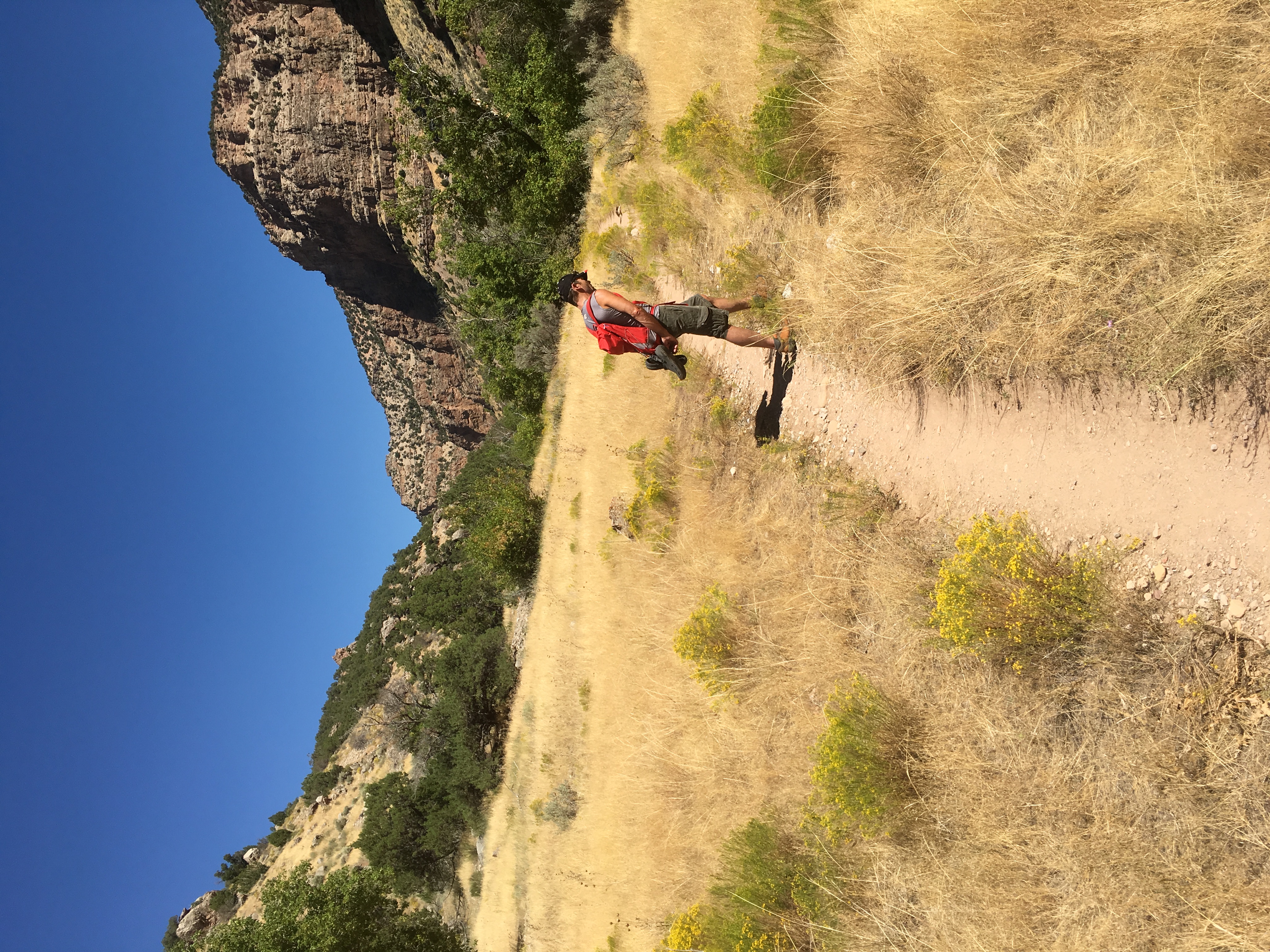 Hike and Fly-Fish Jone's Hole Creek