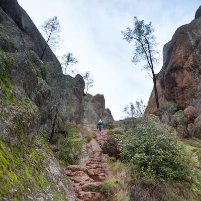 Hike the Juniper Canyon, High Peaks, Tunnel Trail Loop in Pinnacles NP