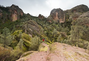 Hike the Juniper Canyon, High Peaks, Tunnel Trail Loop in Pinnacles NP