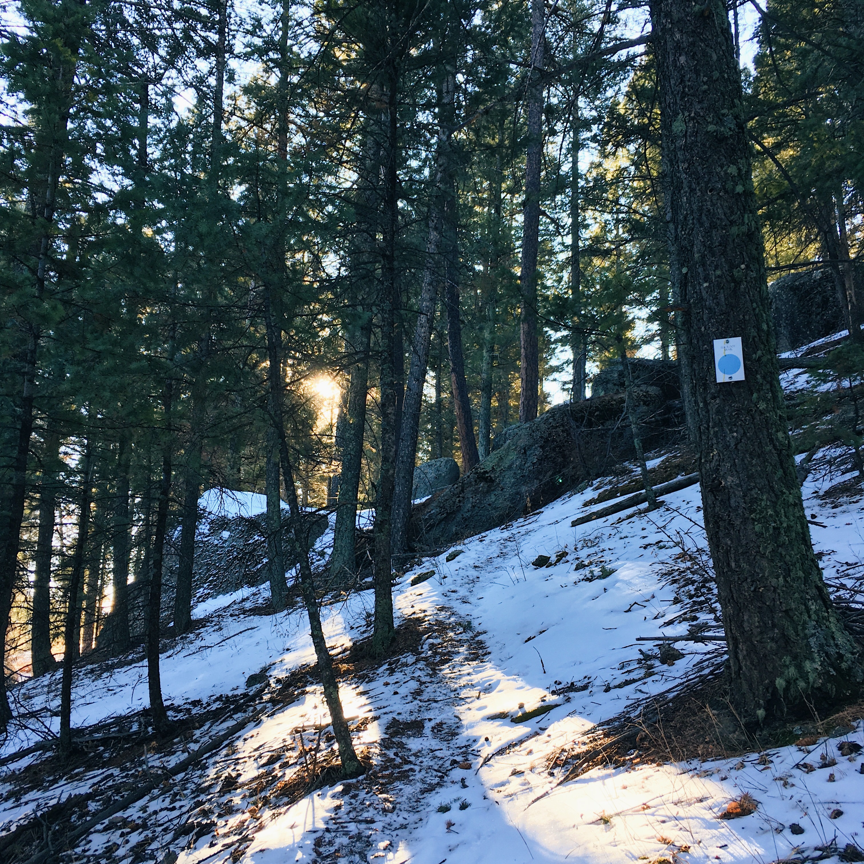 Castle Rock Trail