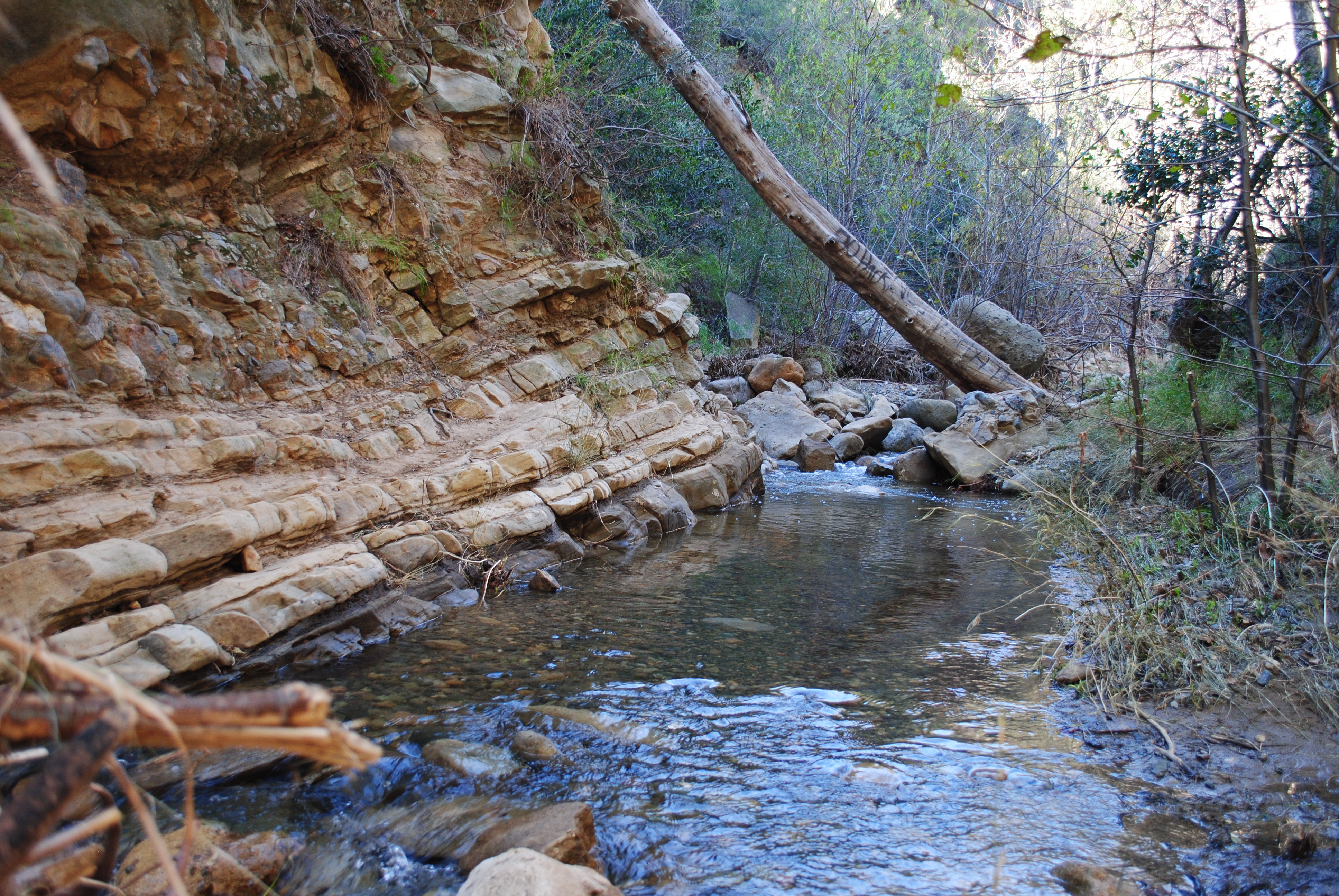 Black Star Canyon Falls