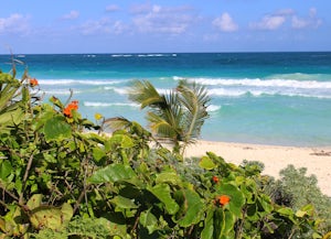 Swim with Sea Turtles in Akumal