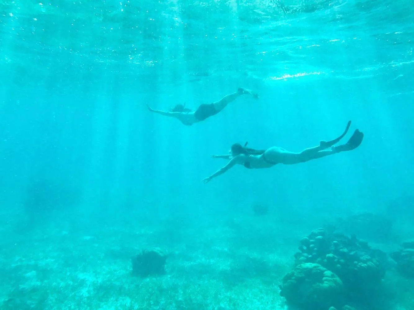 Swim with Sea Turtles in Akumal