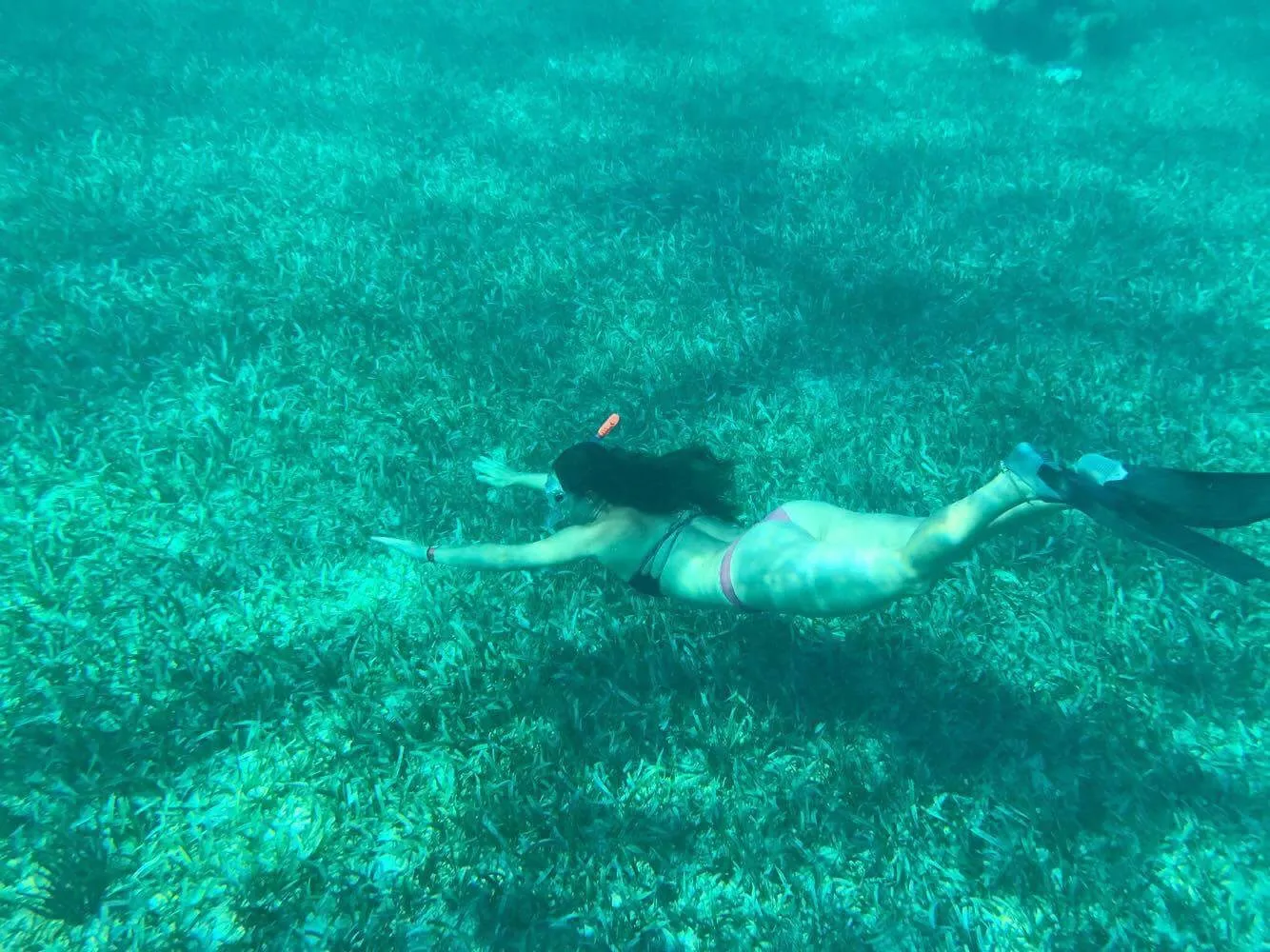 Swim with Sea Turtles in Akumal