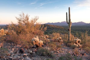 Hike the Desert View Trail