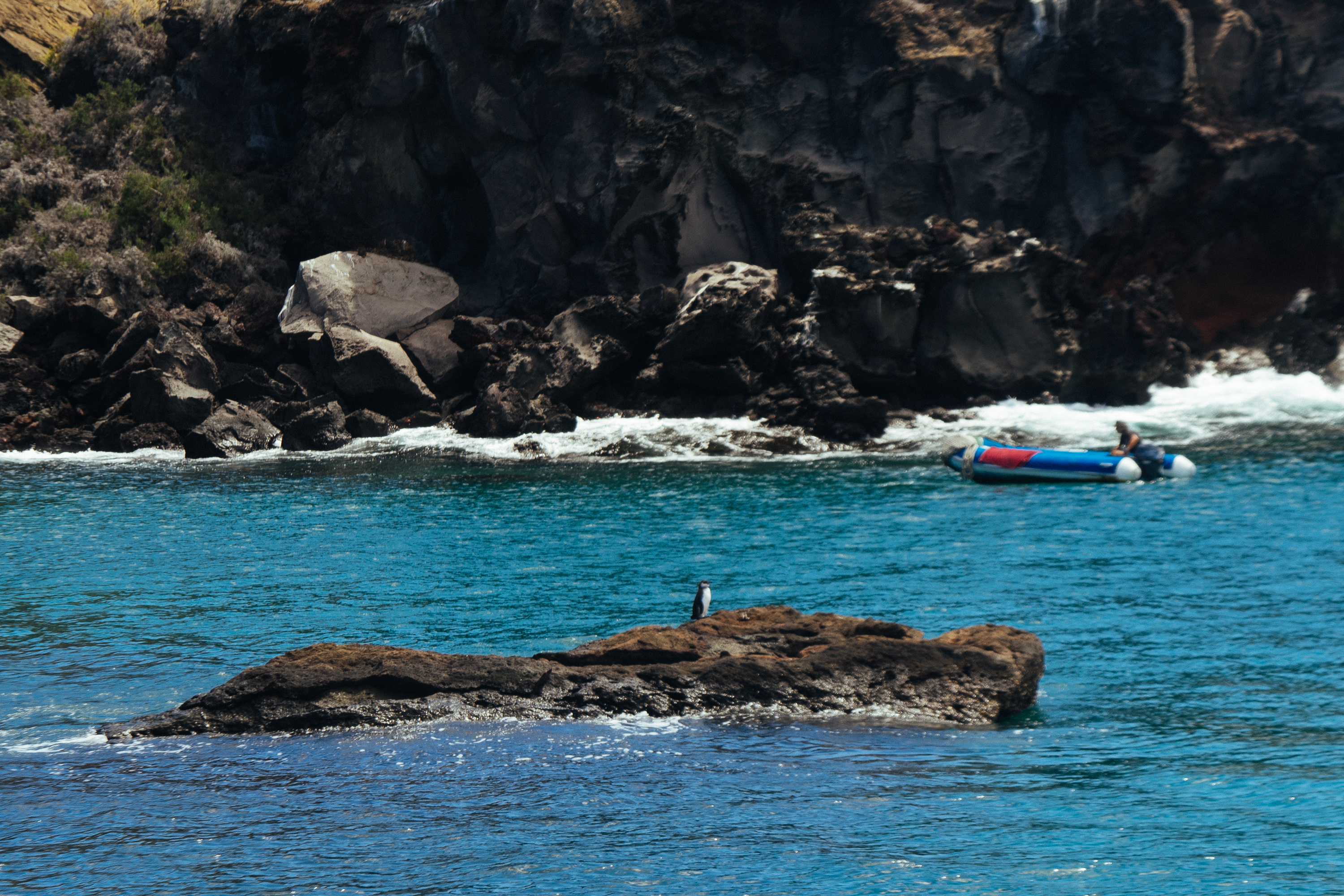 Visit Bartolome Island