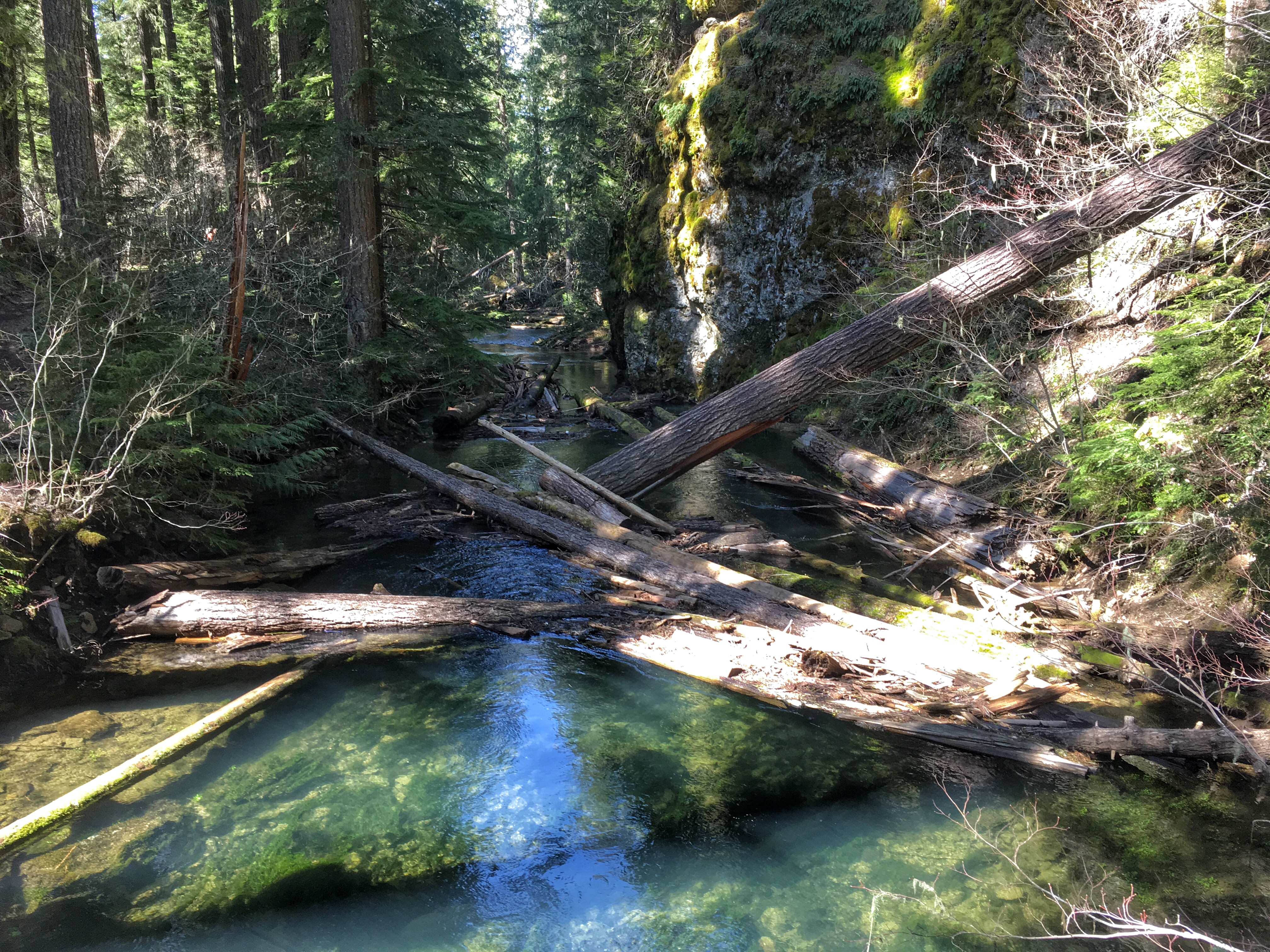Hike to Greenwater Lakes