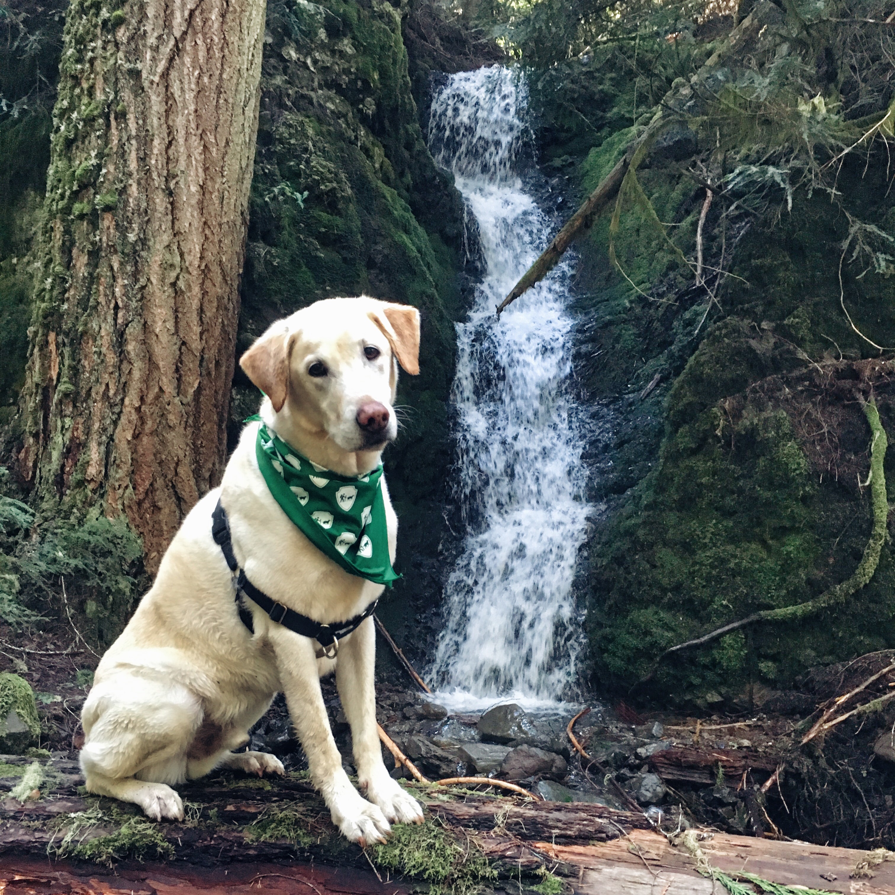 Hike to Greenwater Lakes