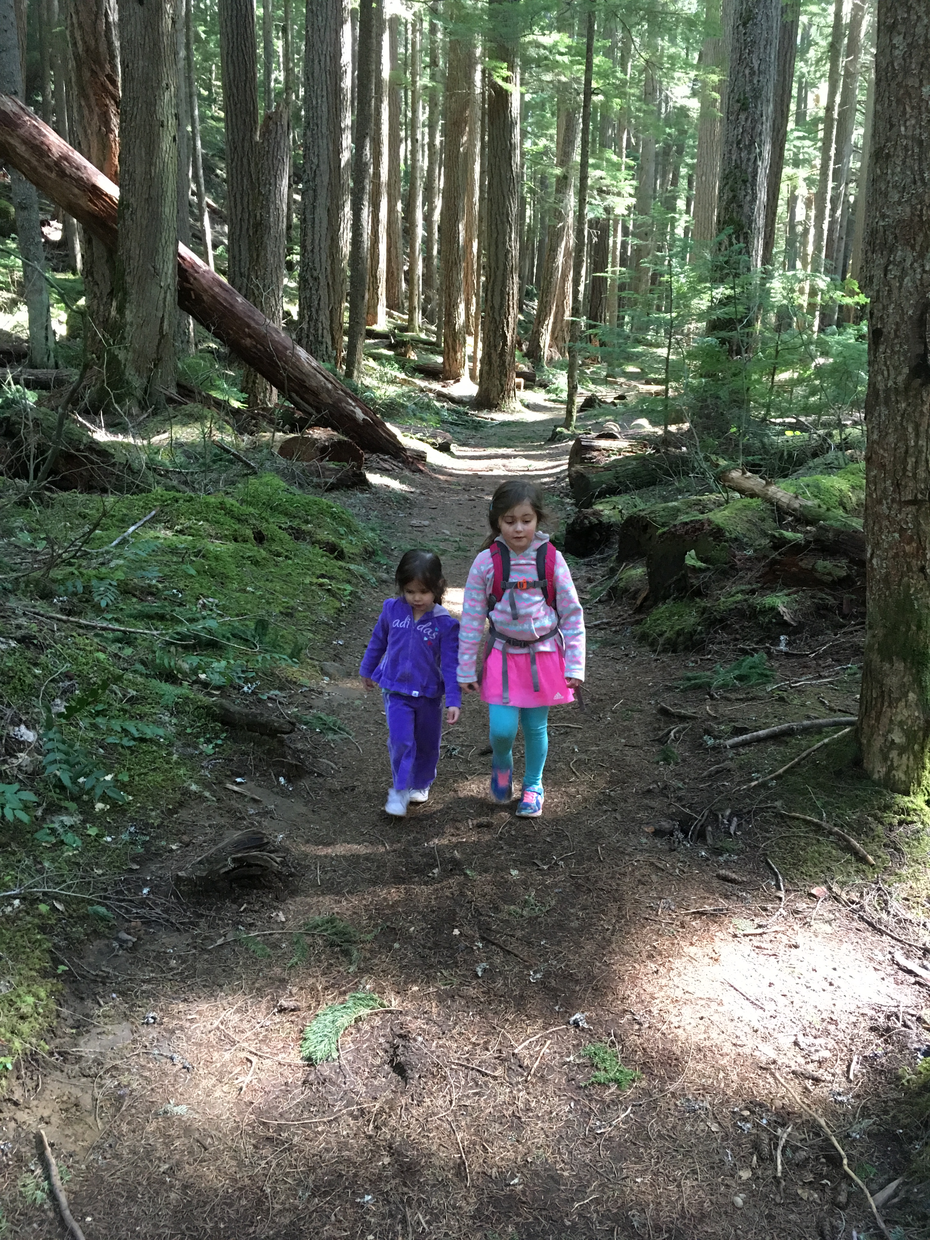 Hike to Greenwater Lakes