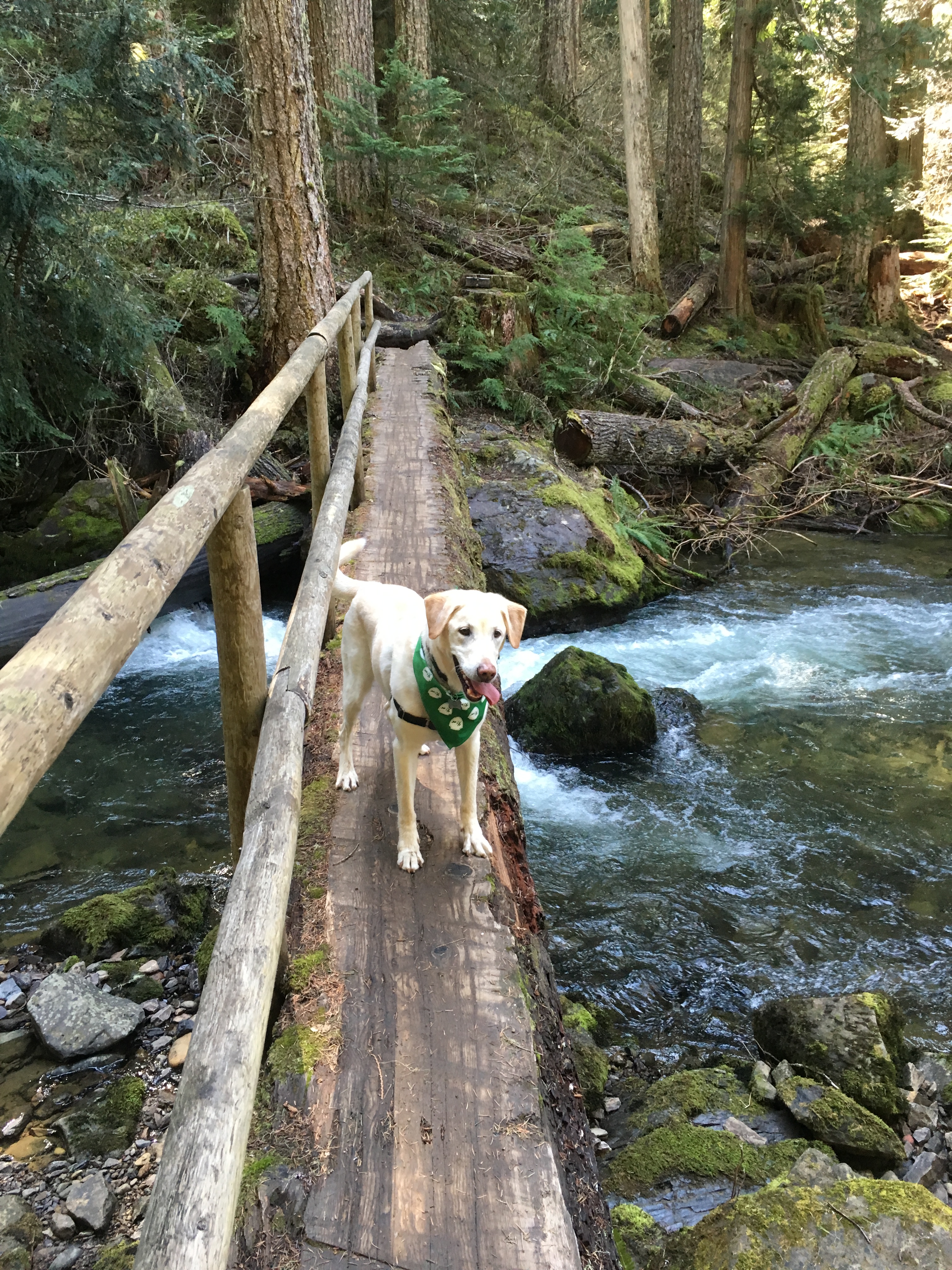 Hike to Greenwater Lakes