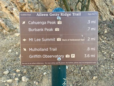Aileen Getty Ridge Trail
