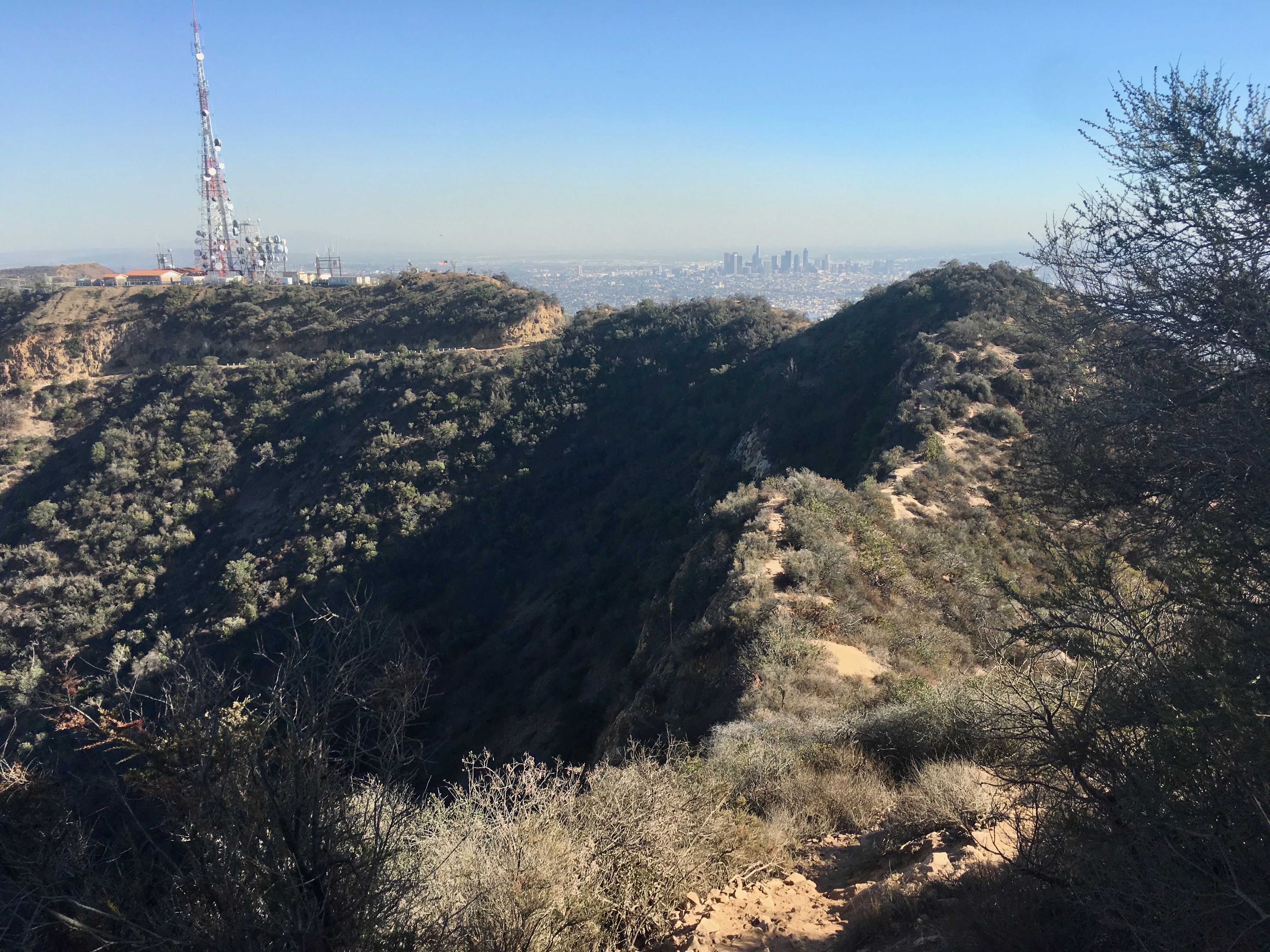 Aileen Getty Ridge Trail