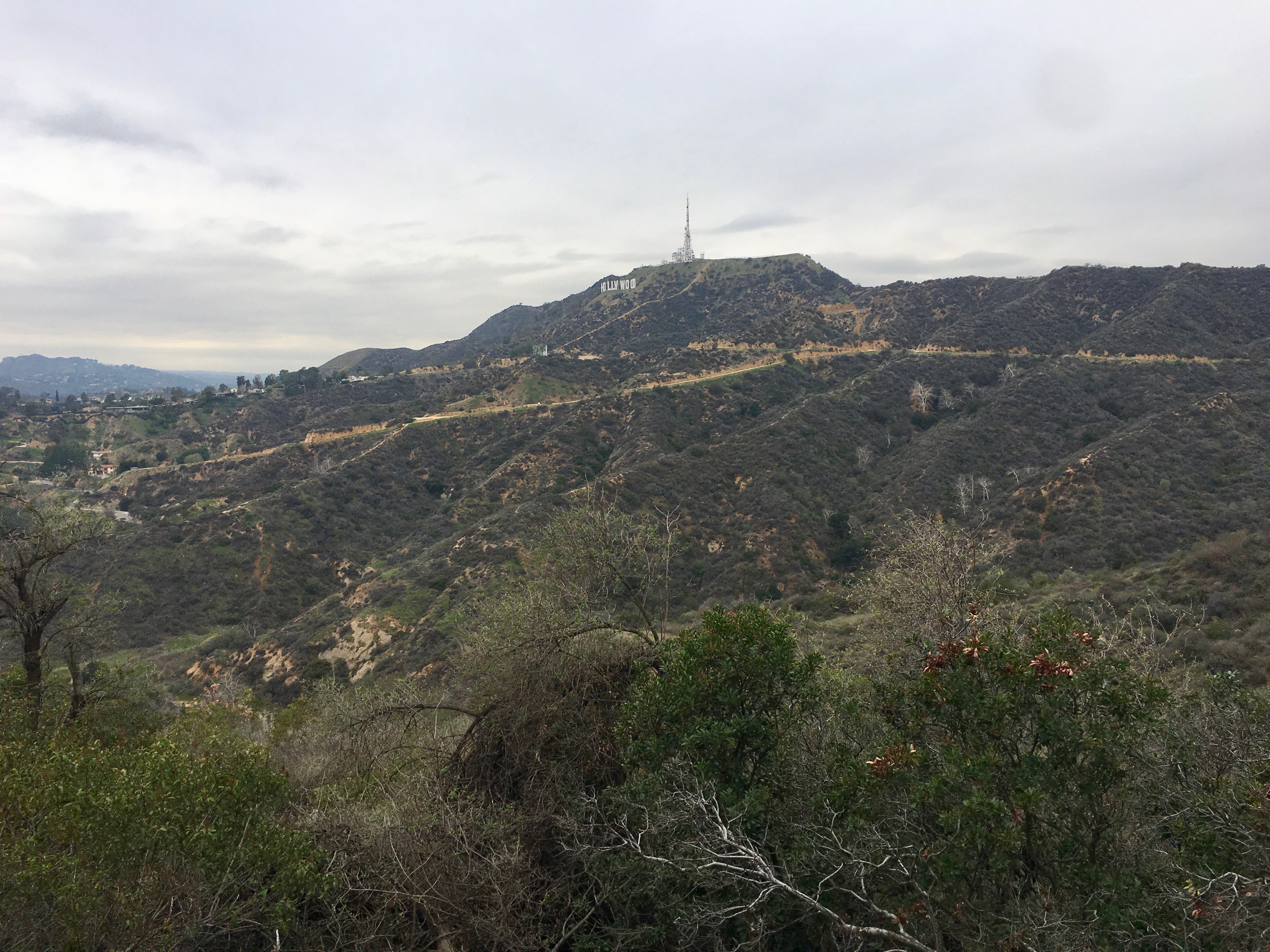 Aileen Getty Ridge Trail