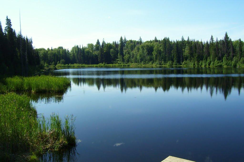 Take a Stroll Around Shane Lake