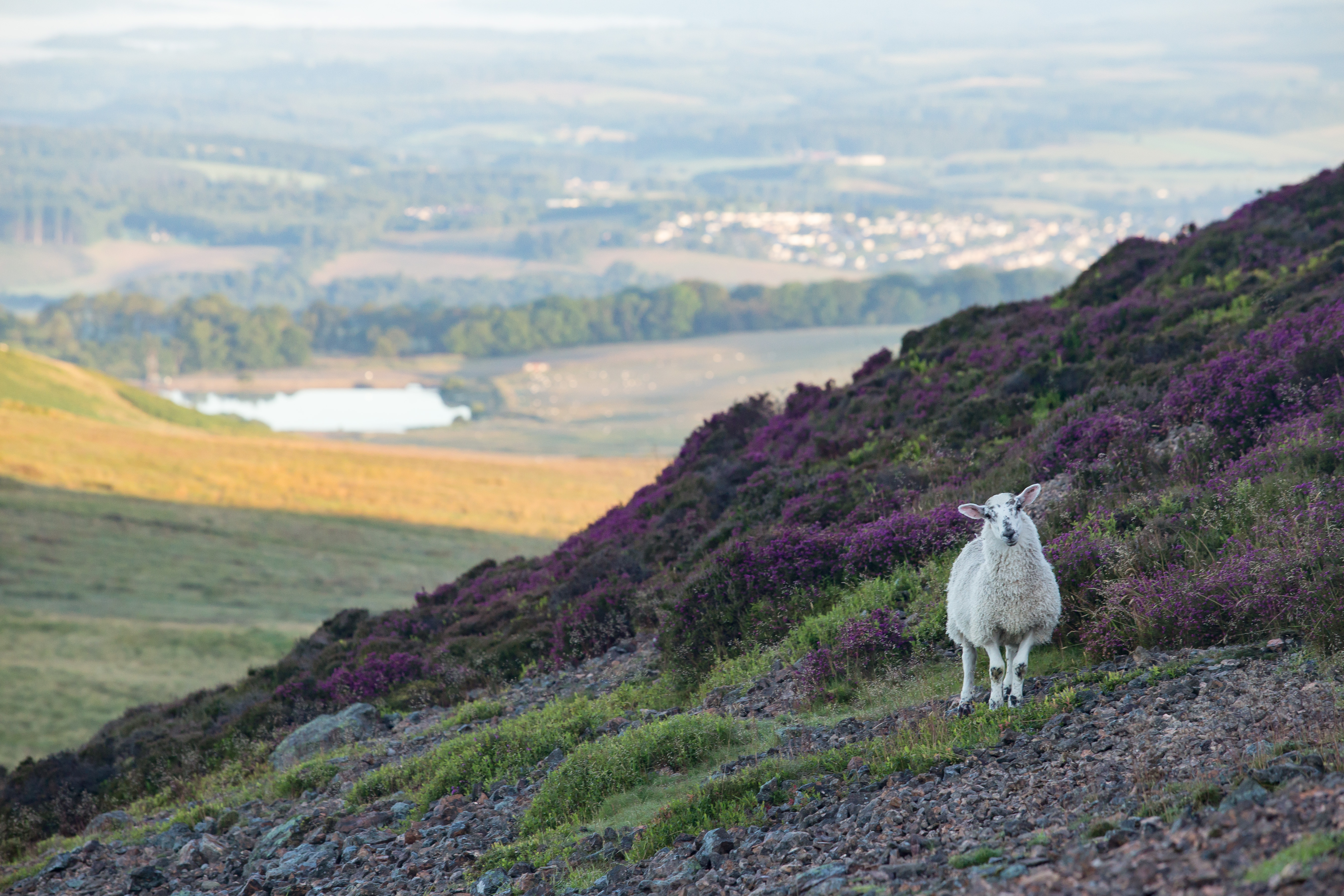Hike Dumyat, Scotland