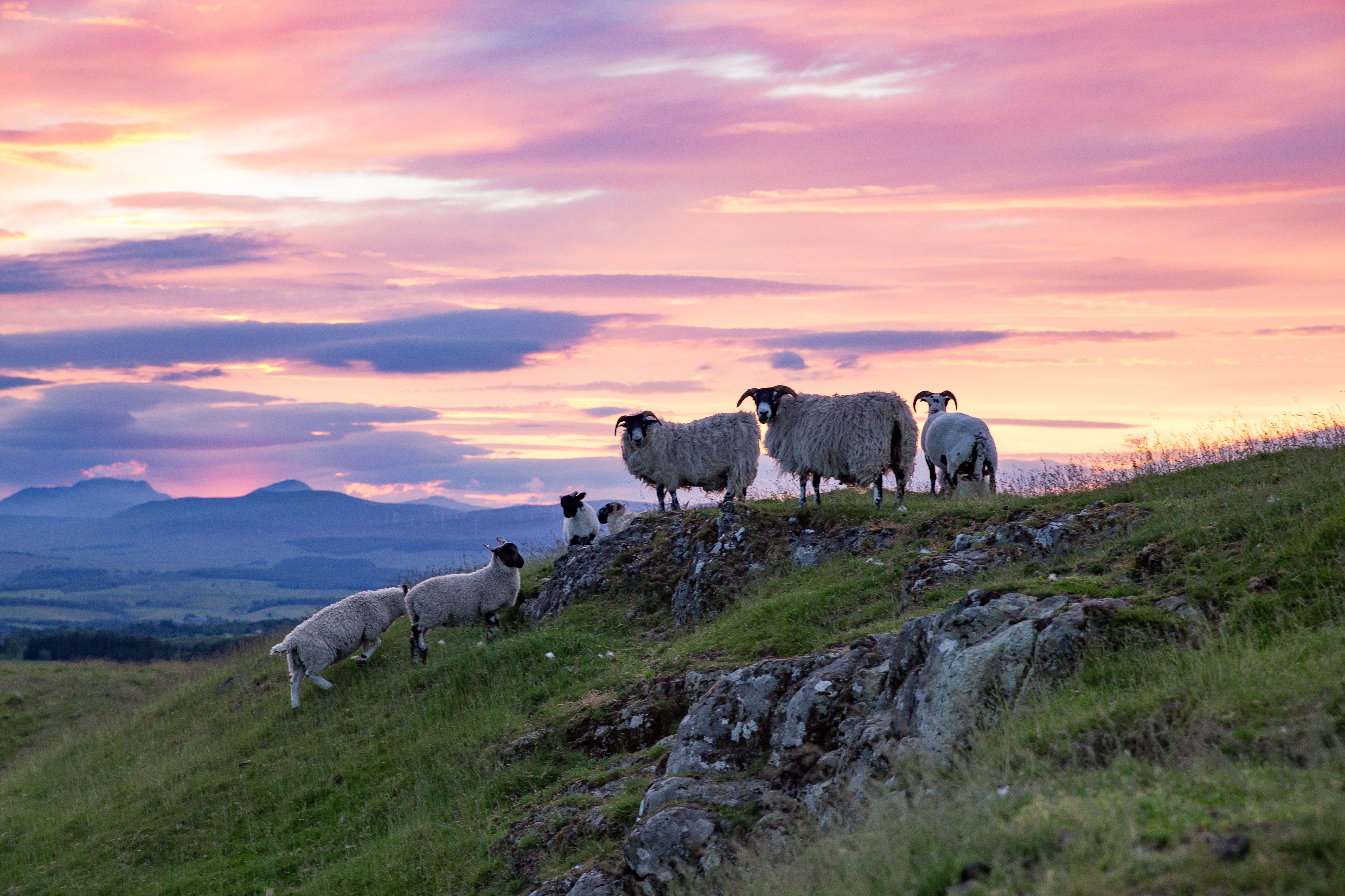 Hike Dumyat, Scotland