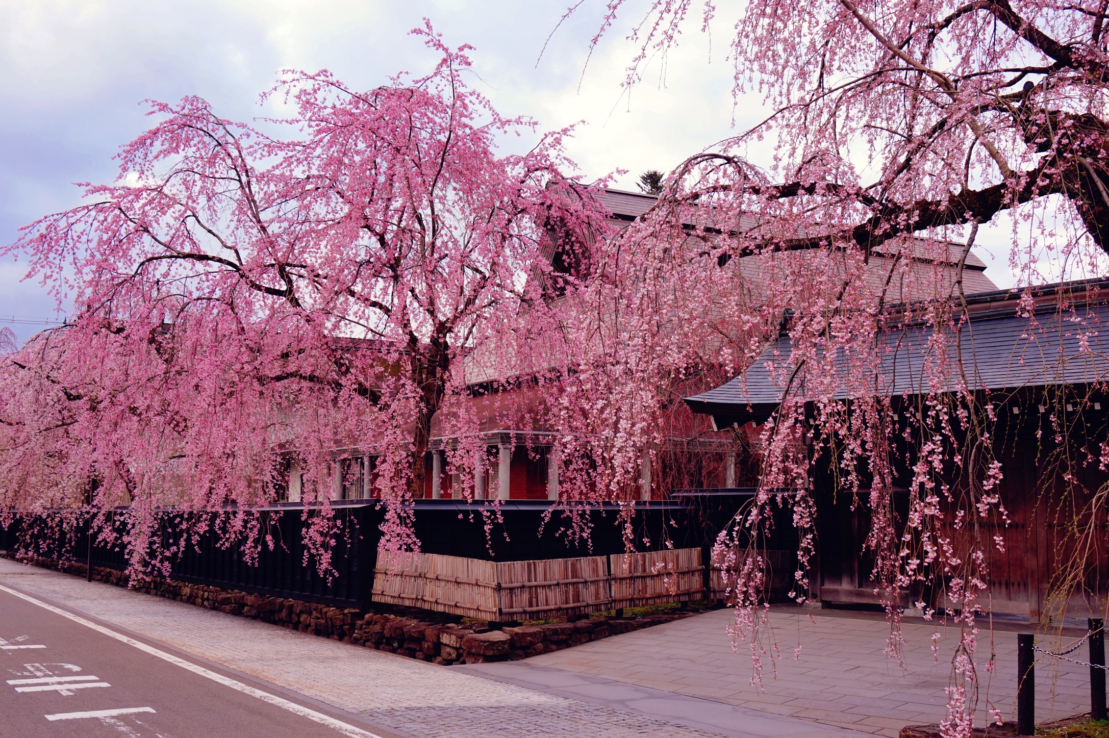 Explore Kakunodate Samurai Town