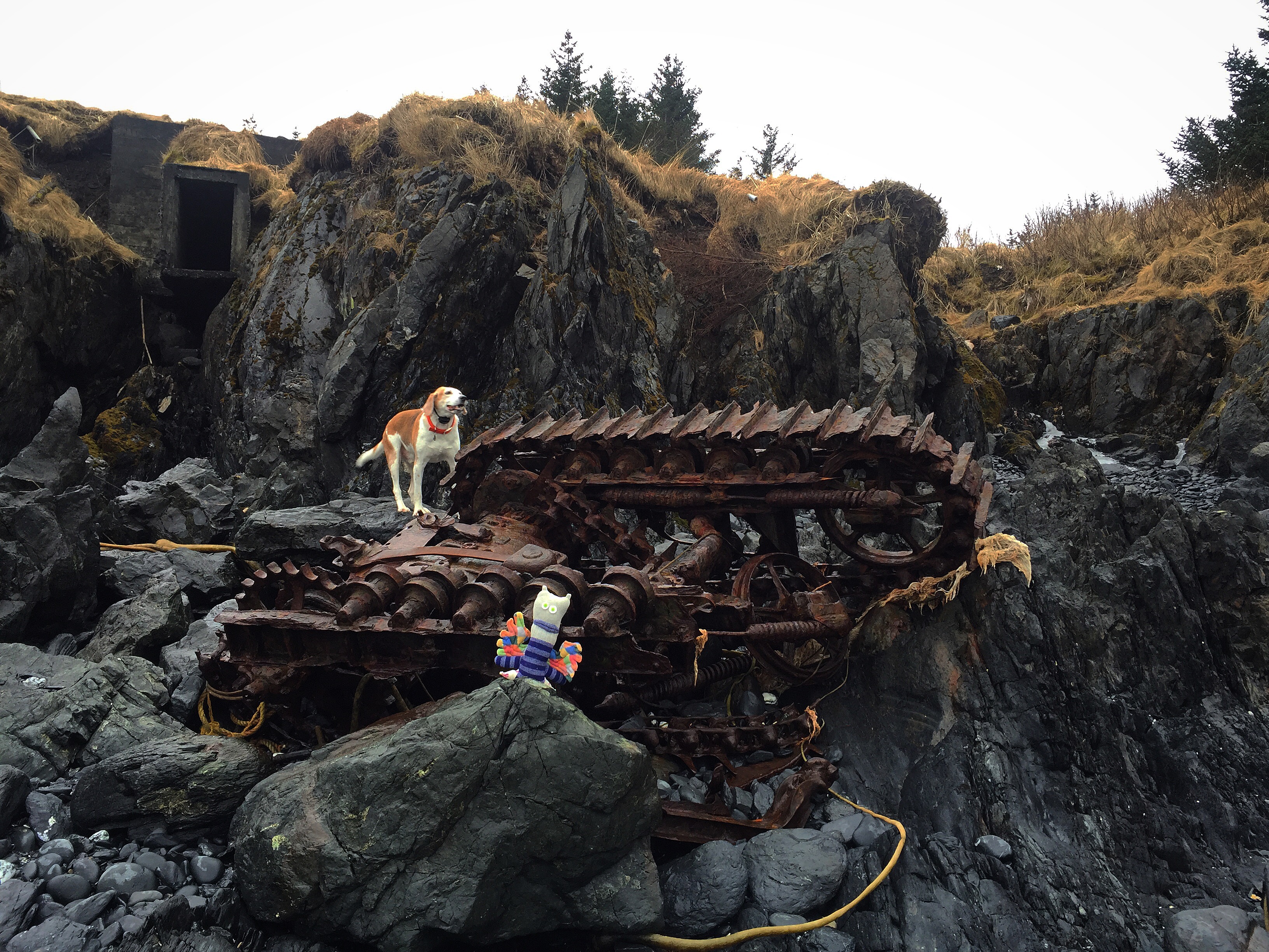 Hike Spruce Cape
