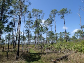 Hike the Buster Island Loop