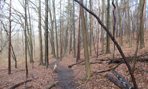 Hike Bird Hills Nature Area