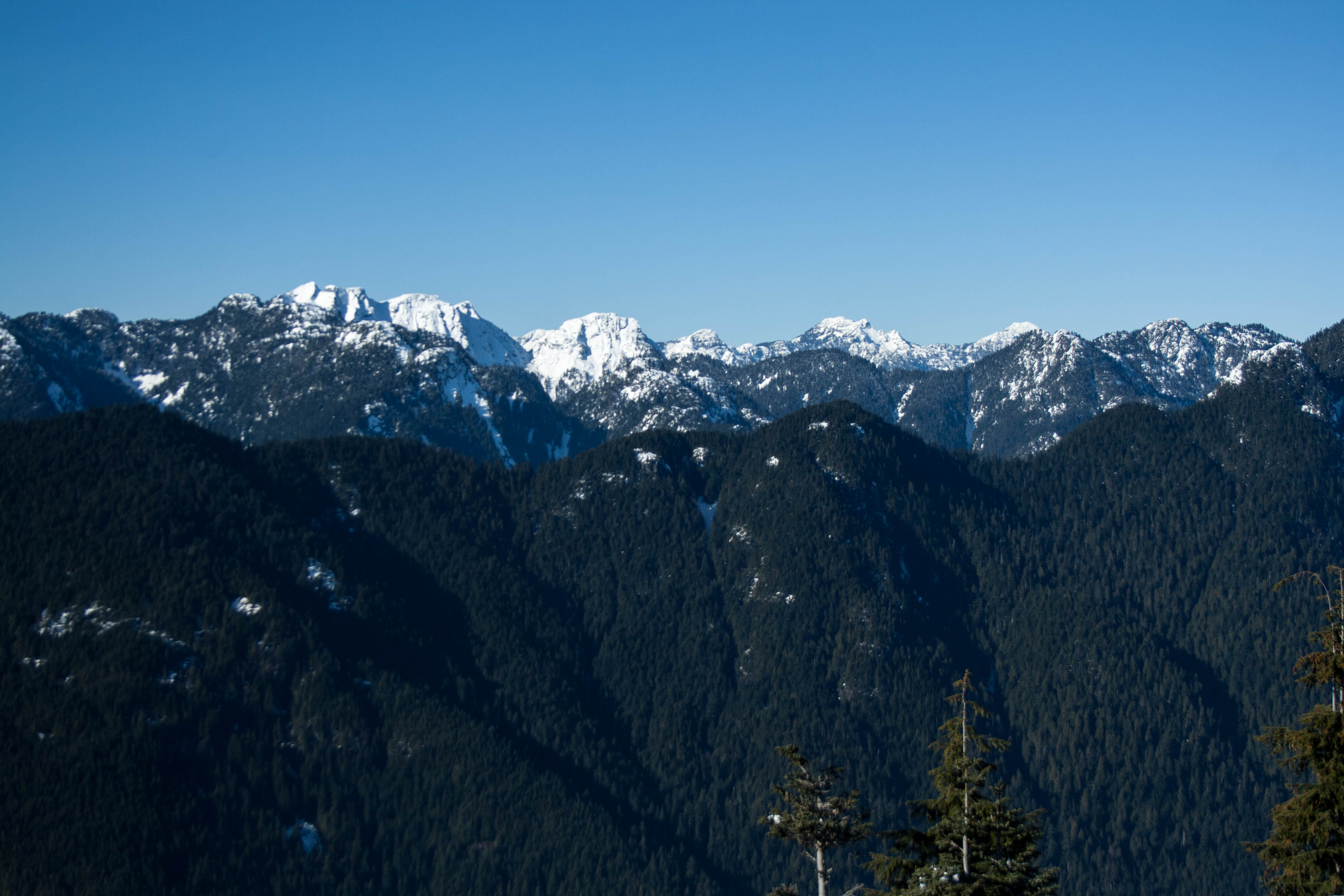 Snowshoe Dog Mountain, North Vancouver, British Columbia