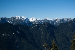 Snowshoe Dog Mountain