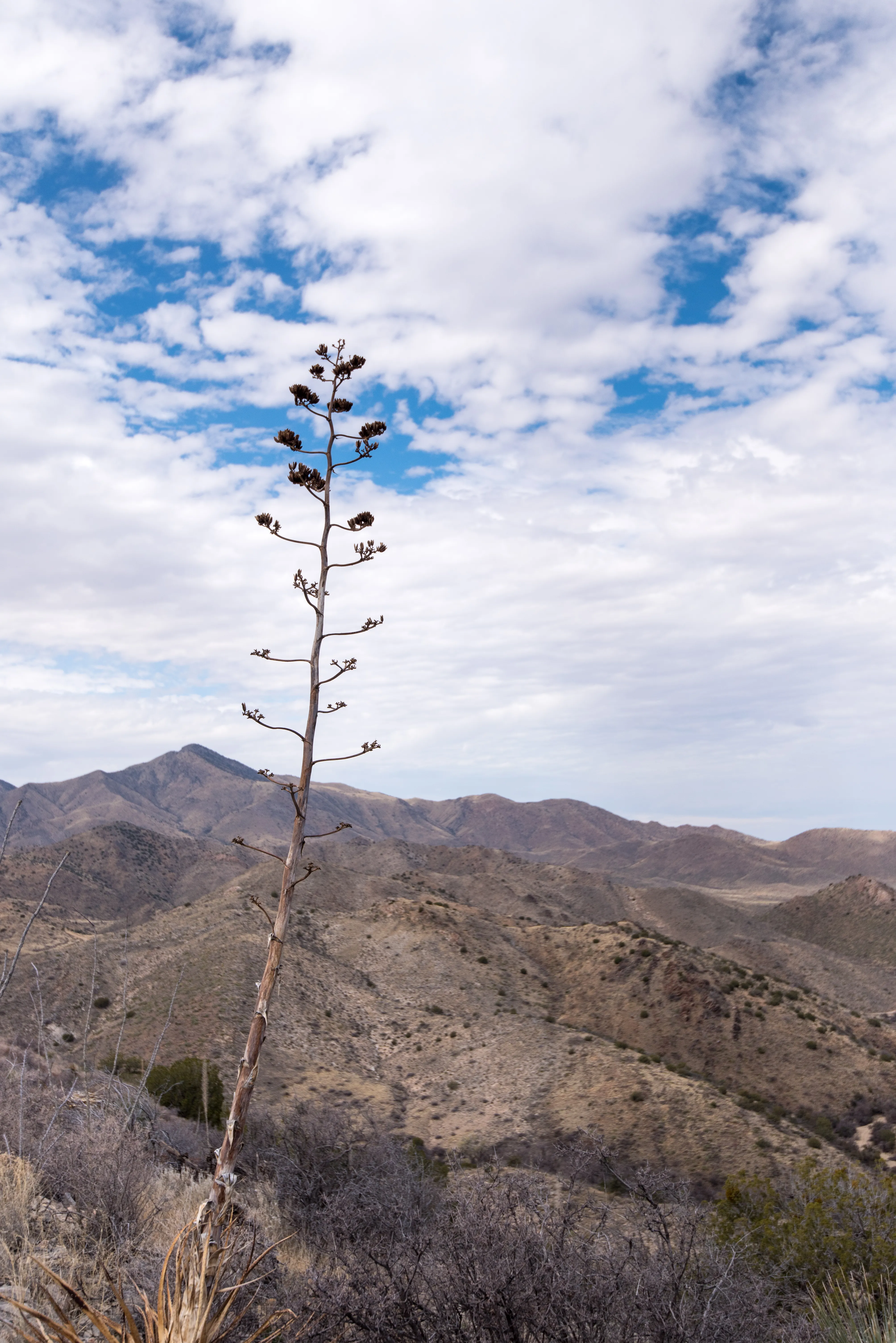 Hike to the Ruins of Fort Bowie