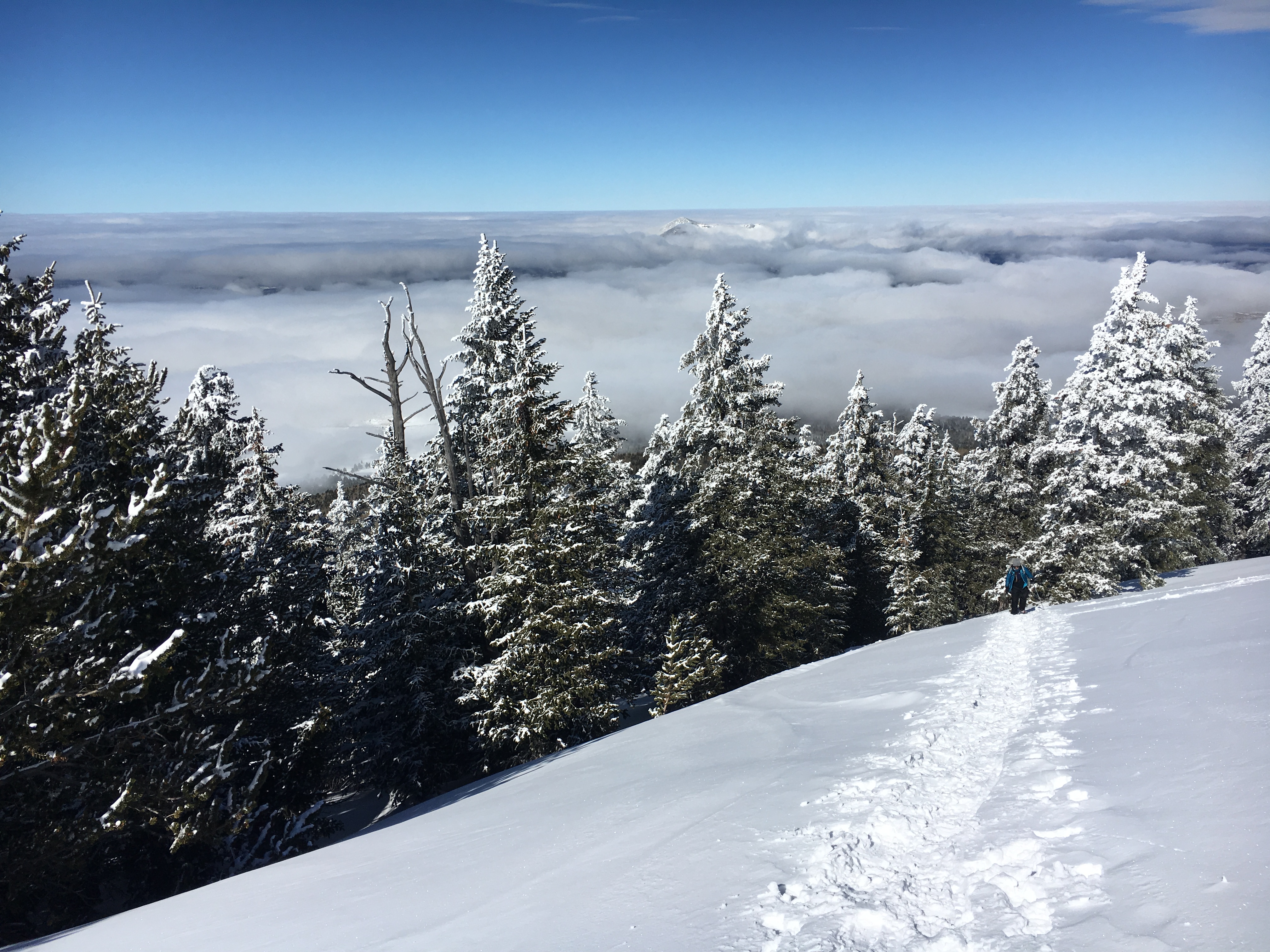 Winter Summit Humphreys Peak, Arizona