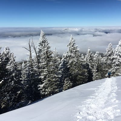 Winter Summit Humphreys Peak, Arizona