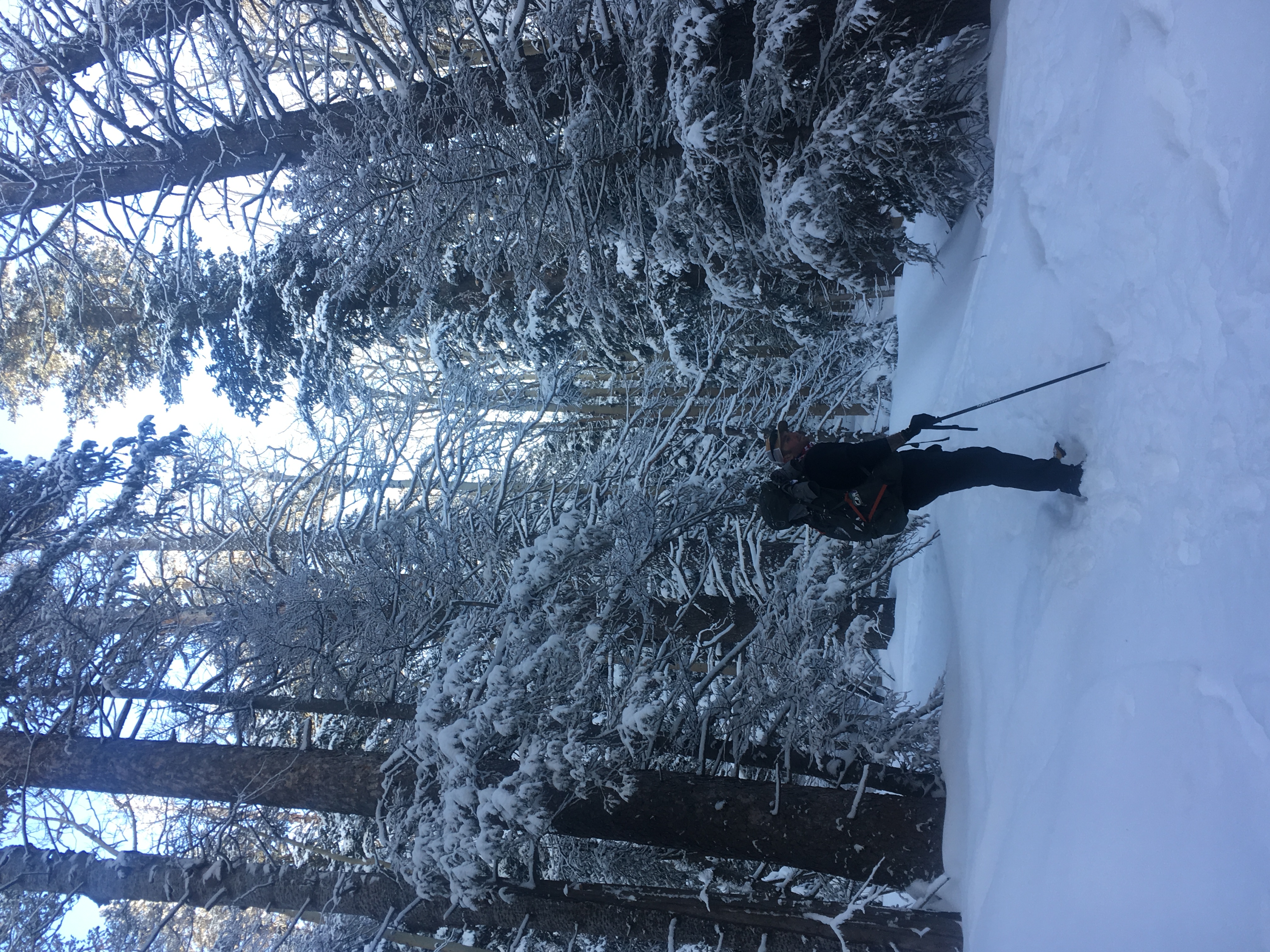 Winter Summit Humphreys Peak, Arizona