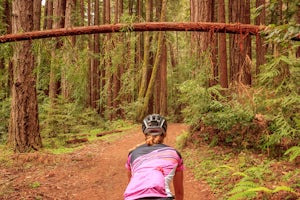 3 Life Lessons I Learned from Mountain Biking