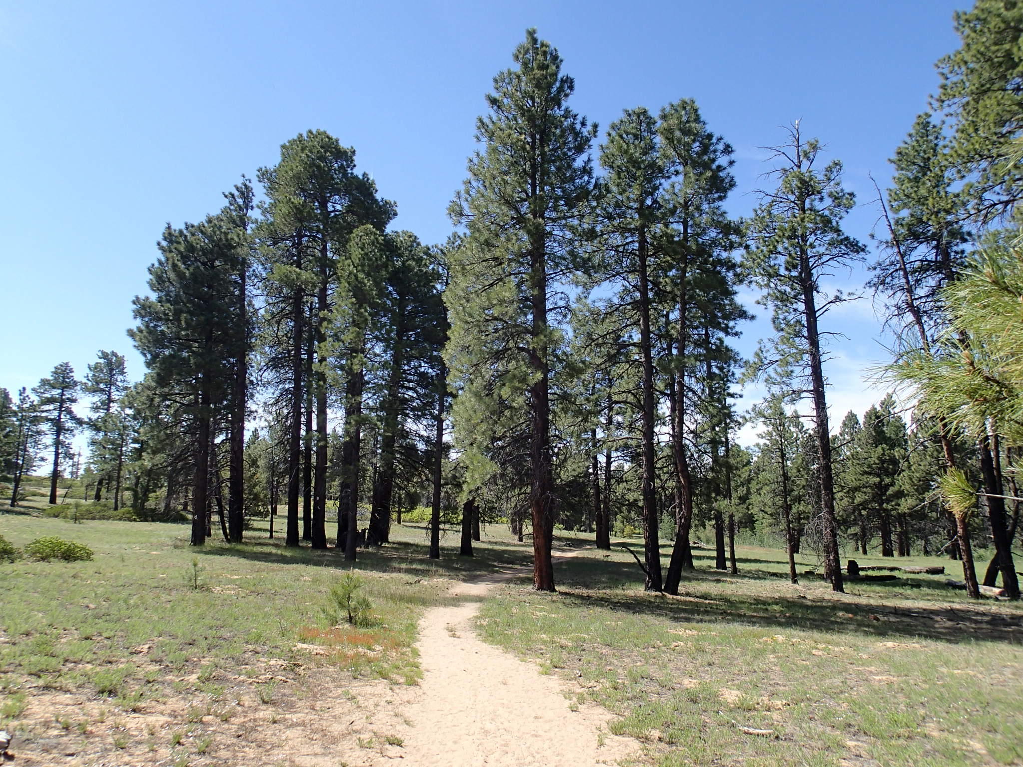 Hike the Northgate Peaks Trail