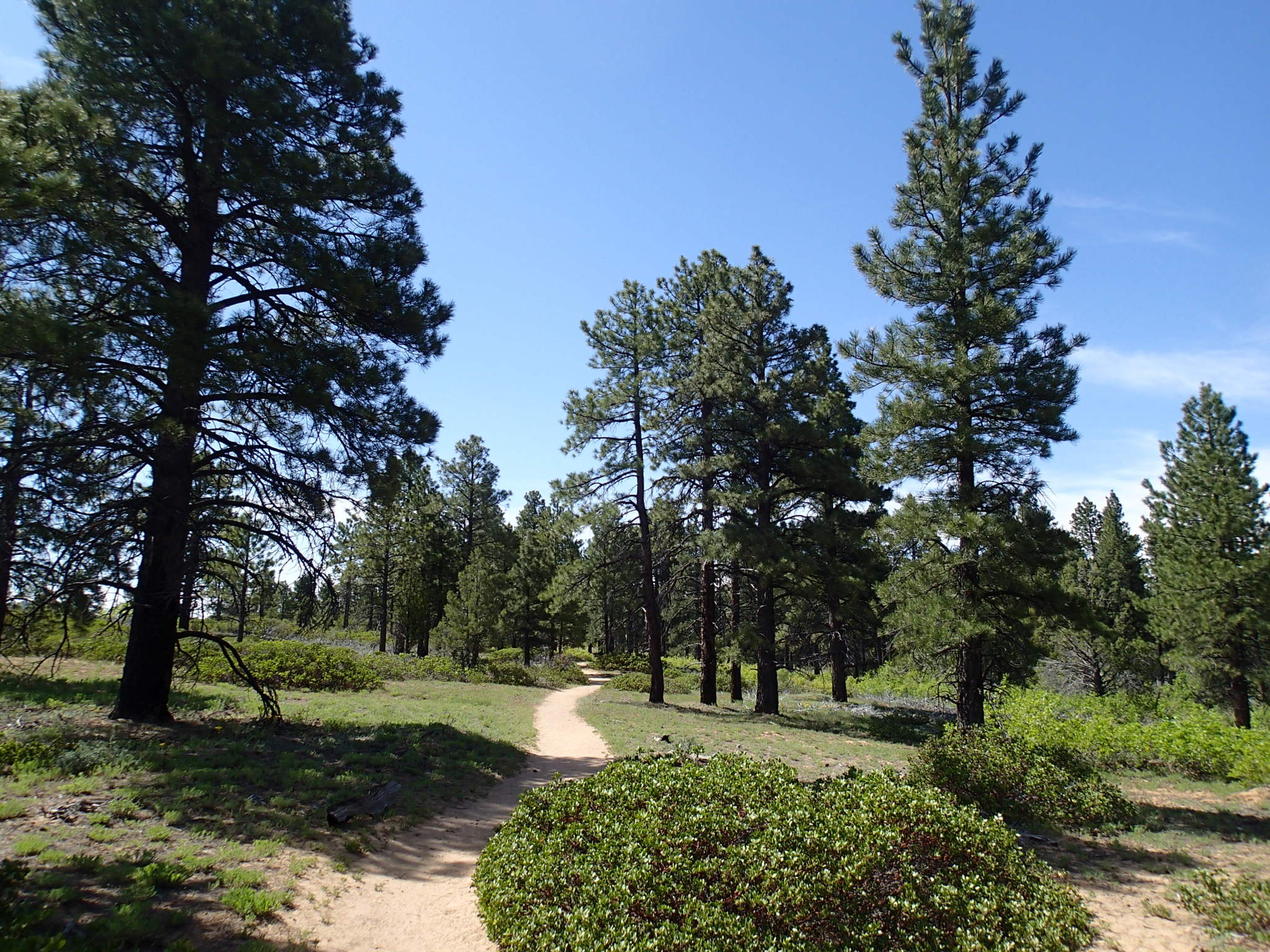 Hike the Northgate Peaks Trail
