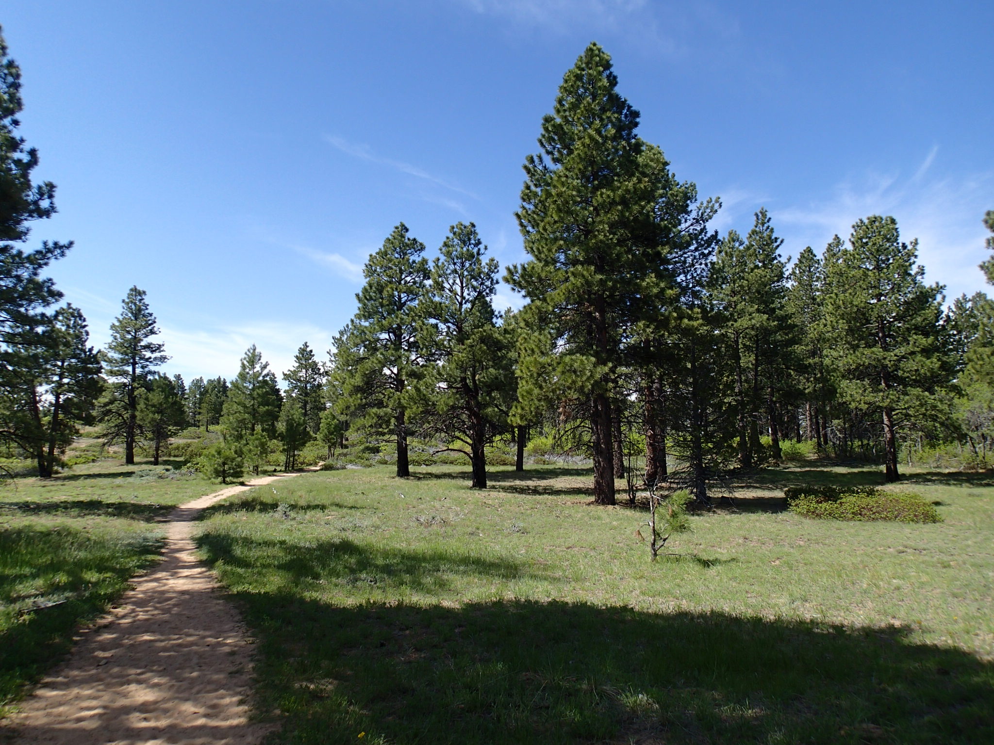 Hike the Northgate Peaks Trail