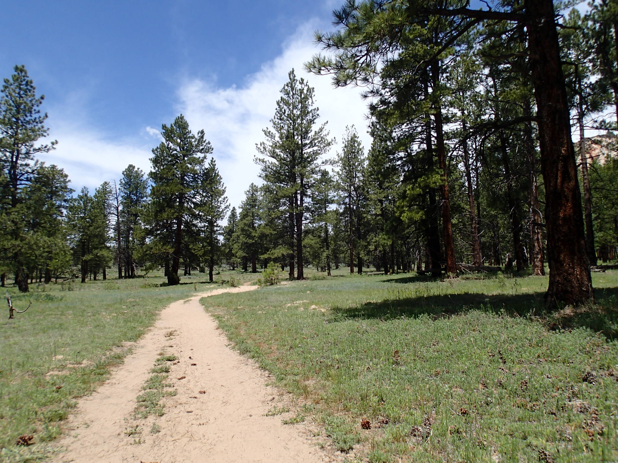 Hike the Northgate Peaks Trail