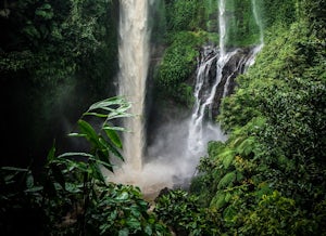 Hike to Sekumpul Waterfalls 