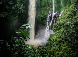 Hike to Sekumpul Waterfalls 