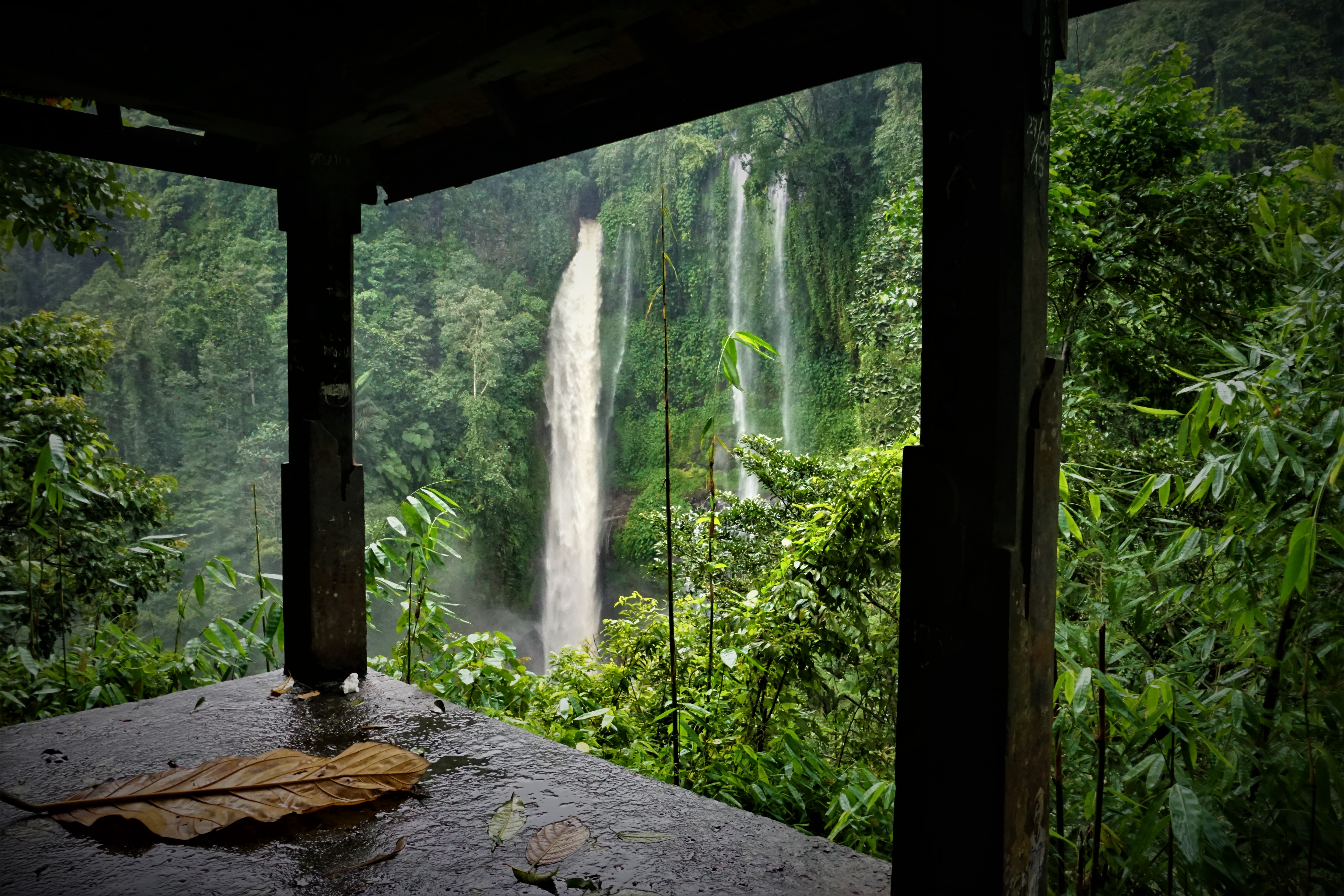 Hike to Sekumpul Waterfalls 