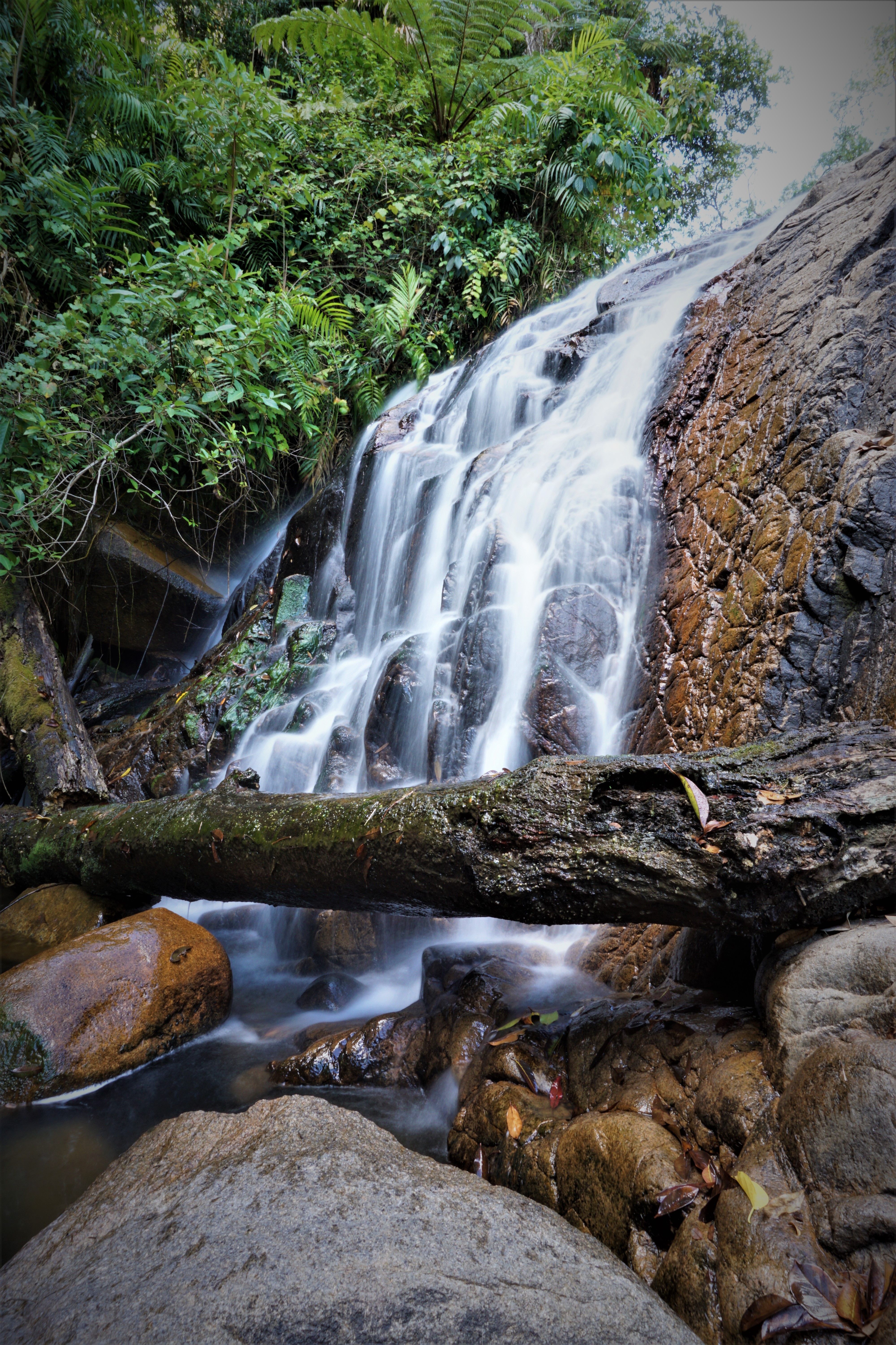 Hike the Finch Hatton Gorge