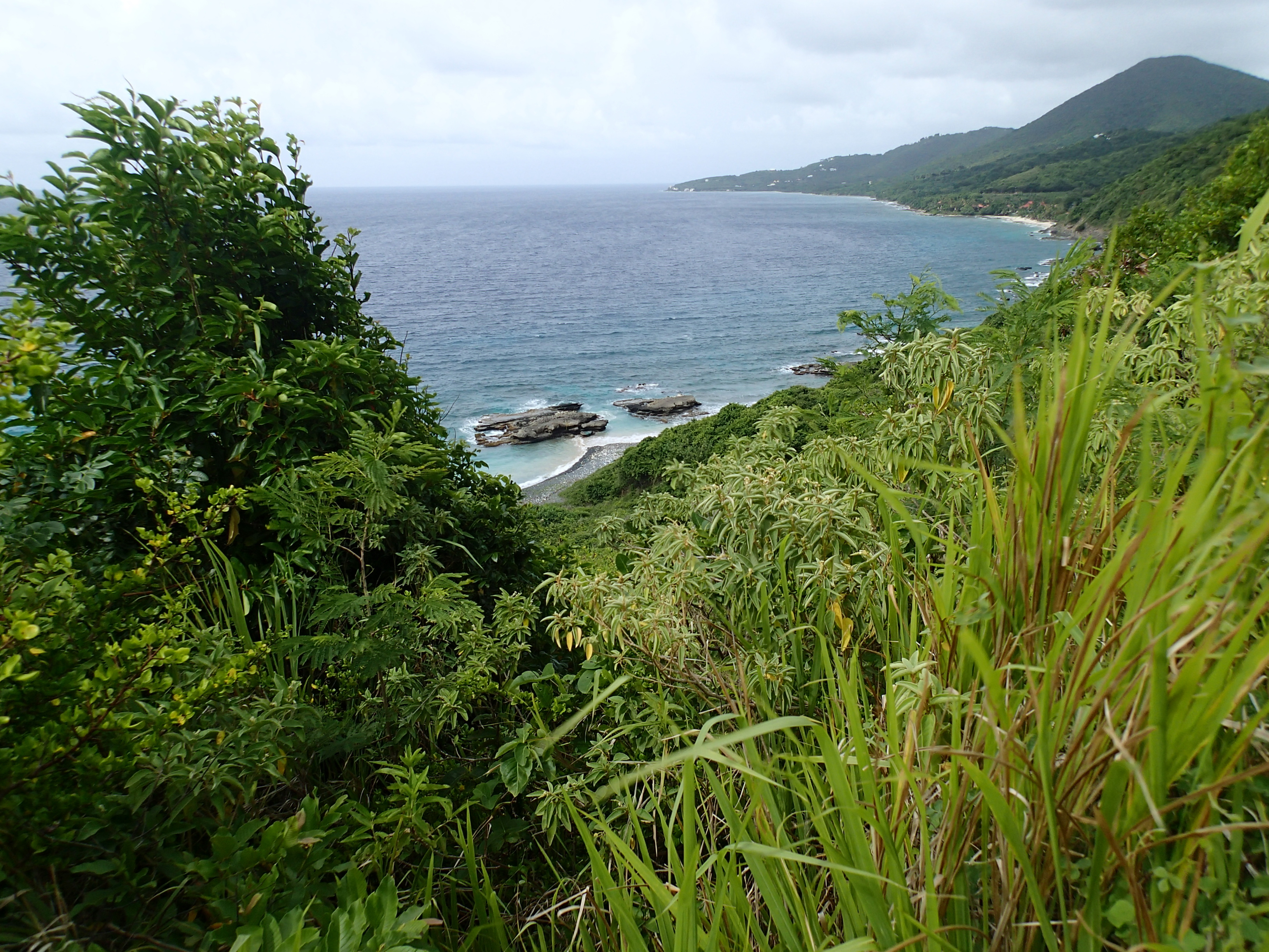 back to nature st croix