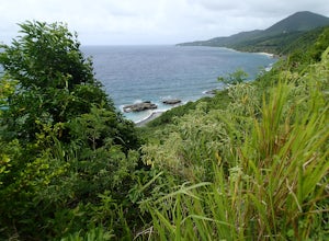 Hike the Trumbull Trail in St. Croix