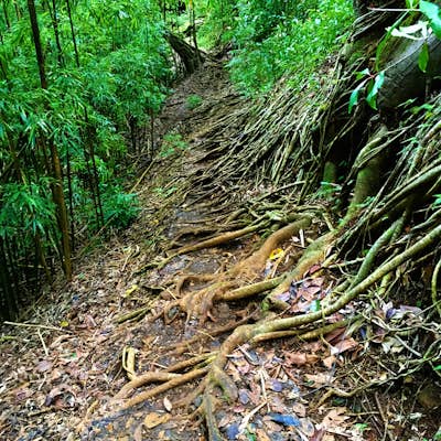 Aihualama Trail 