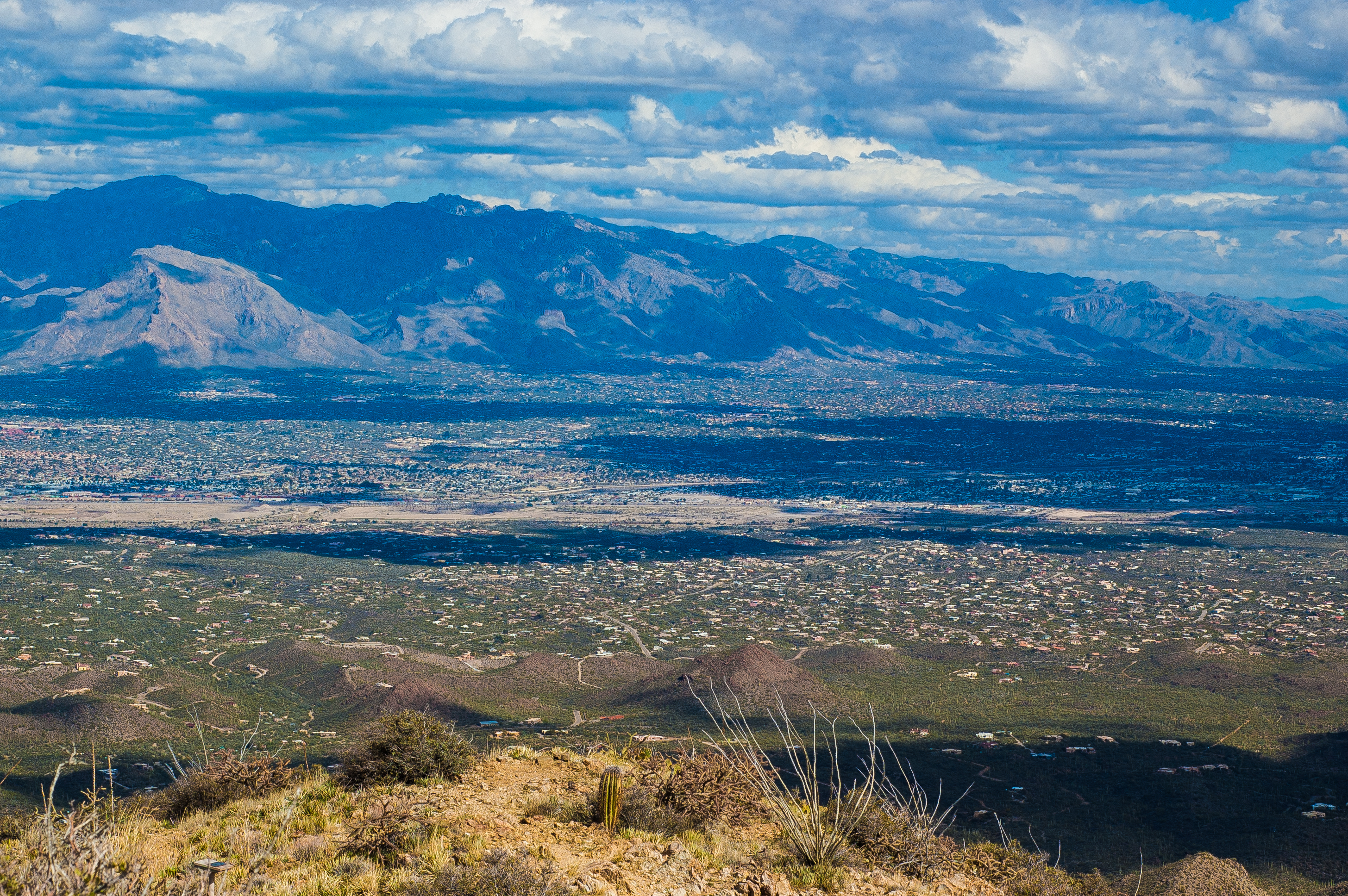 Hugh Norris Trail